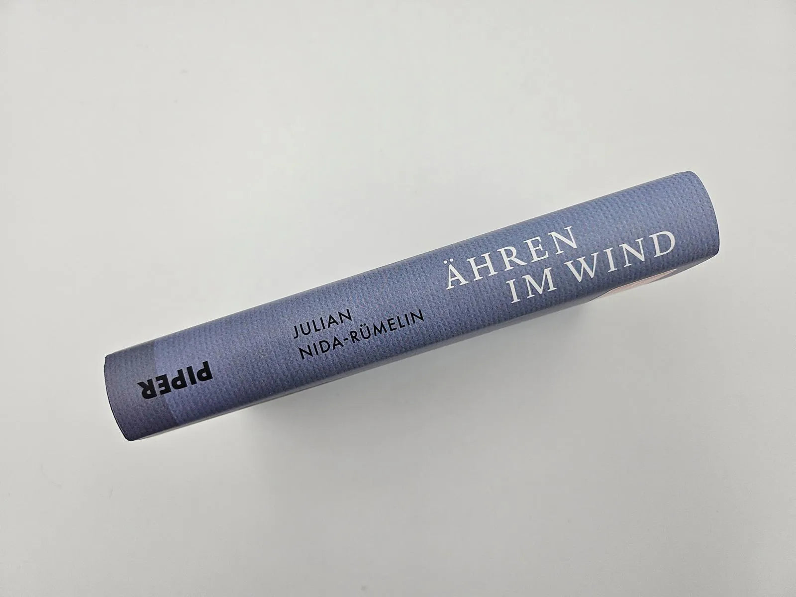 Abbildung von 'Ähren im Wind'