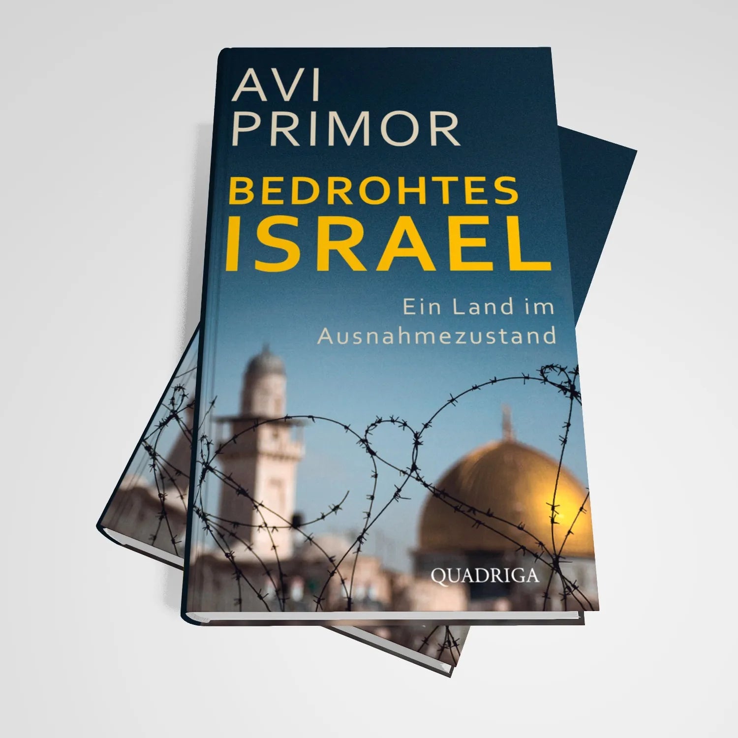 Abbildung von 'Bedrohtes Israel'