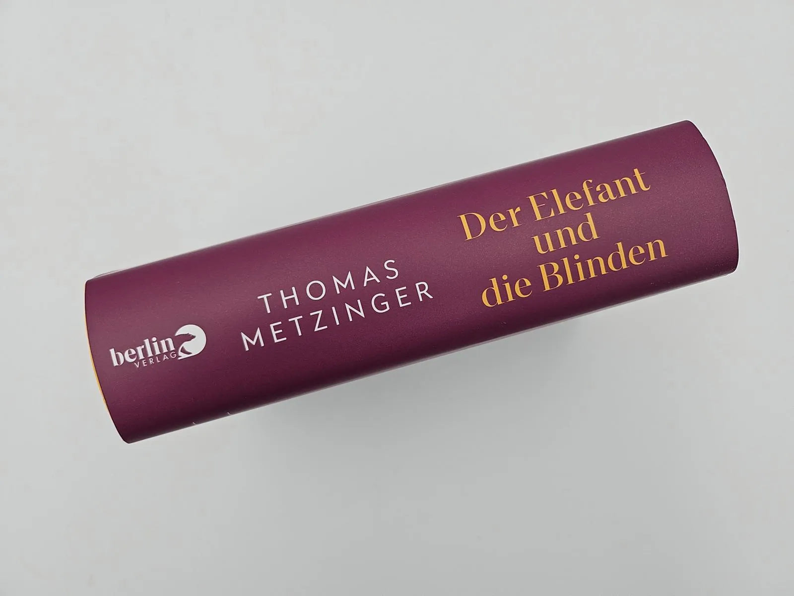Abbildung von 'Der Elefant und die Blinden'