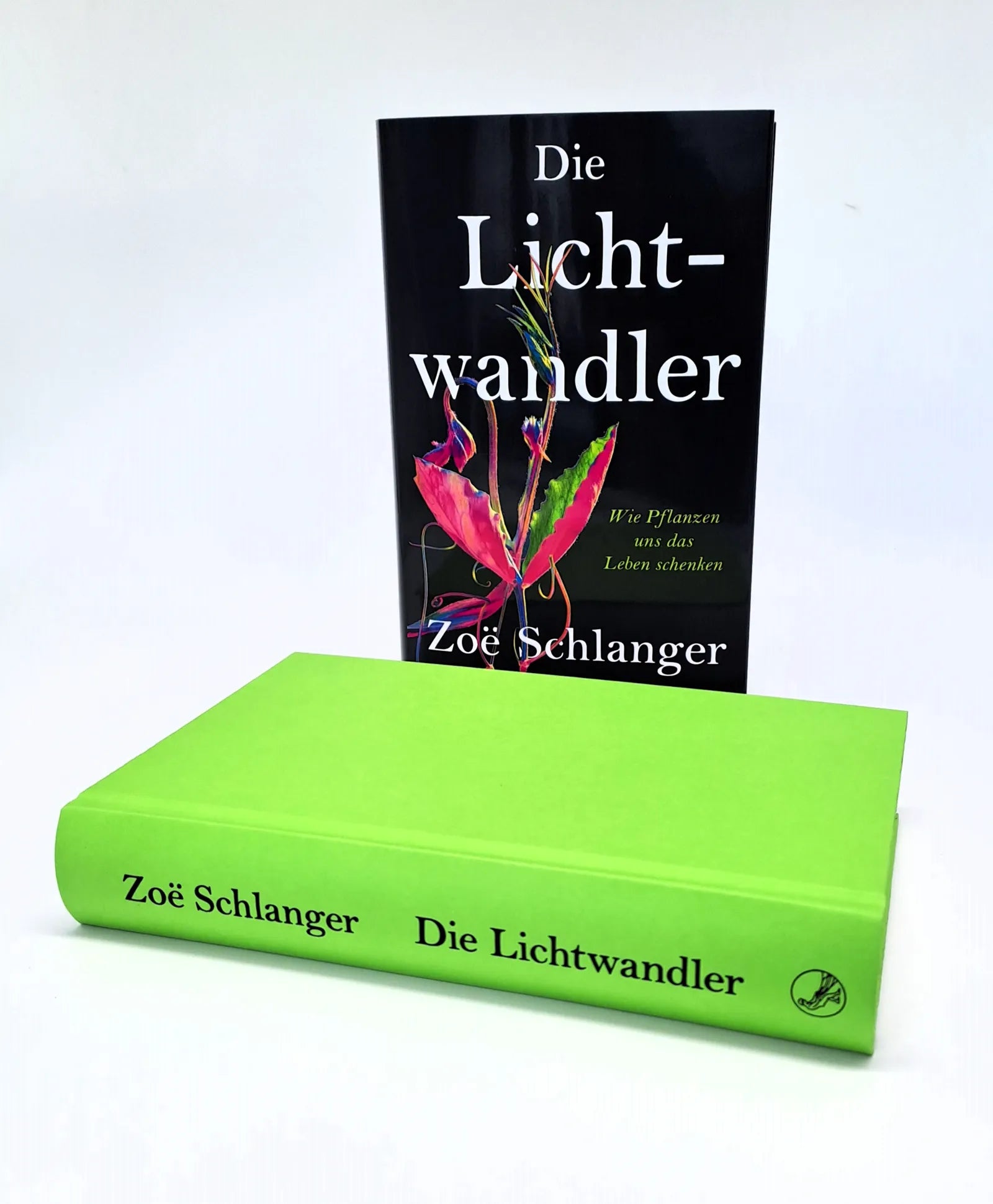 Abbildung von 'Die Lichtwandler'