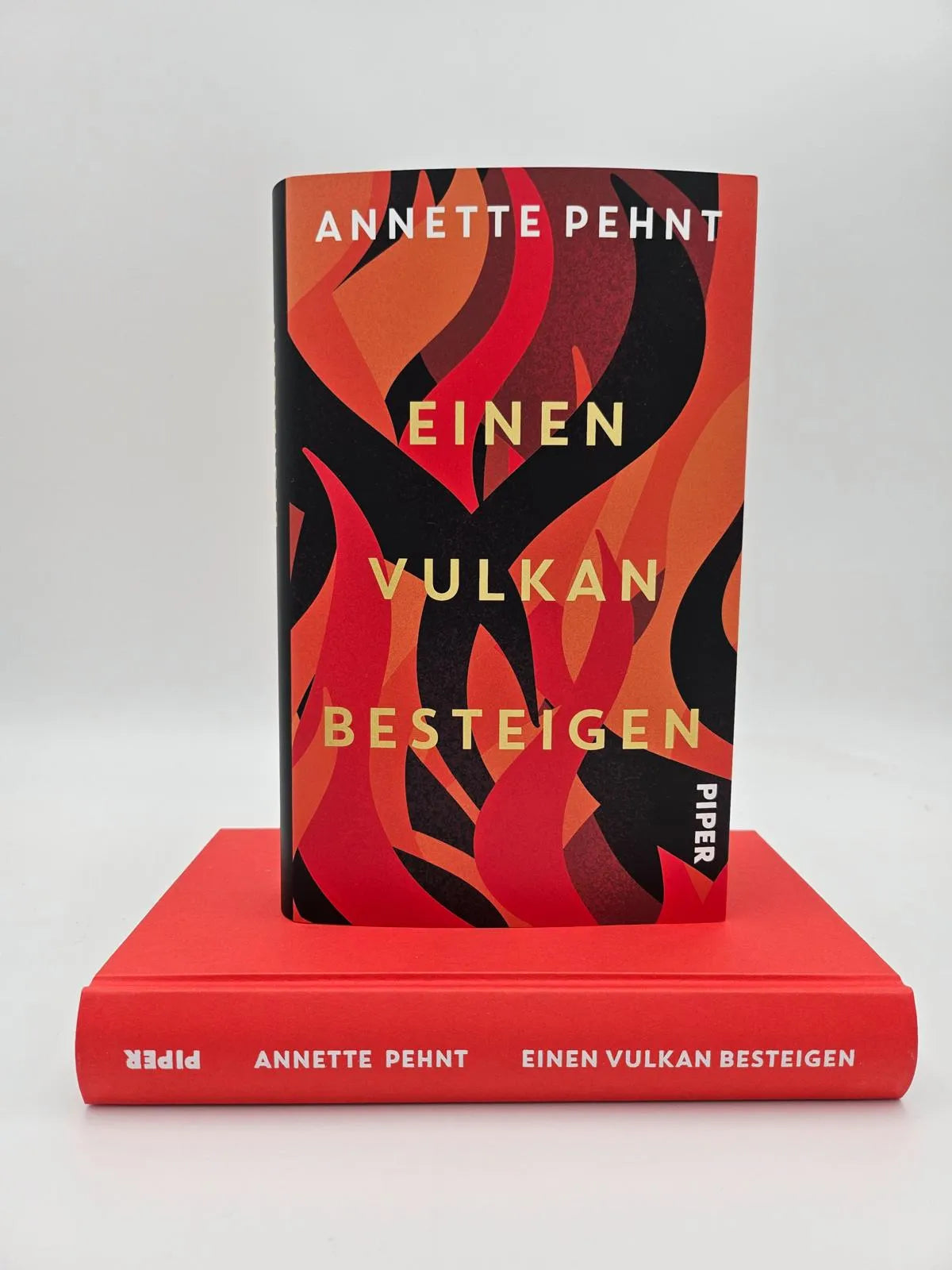 Abbildung von 'Einen Vulkan besteigen'