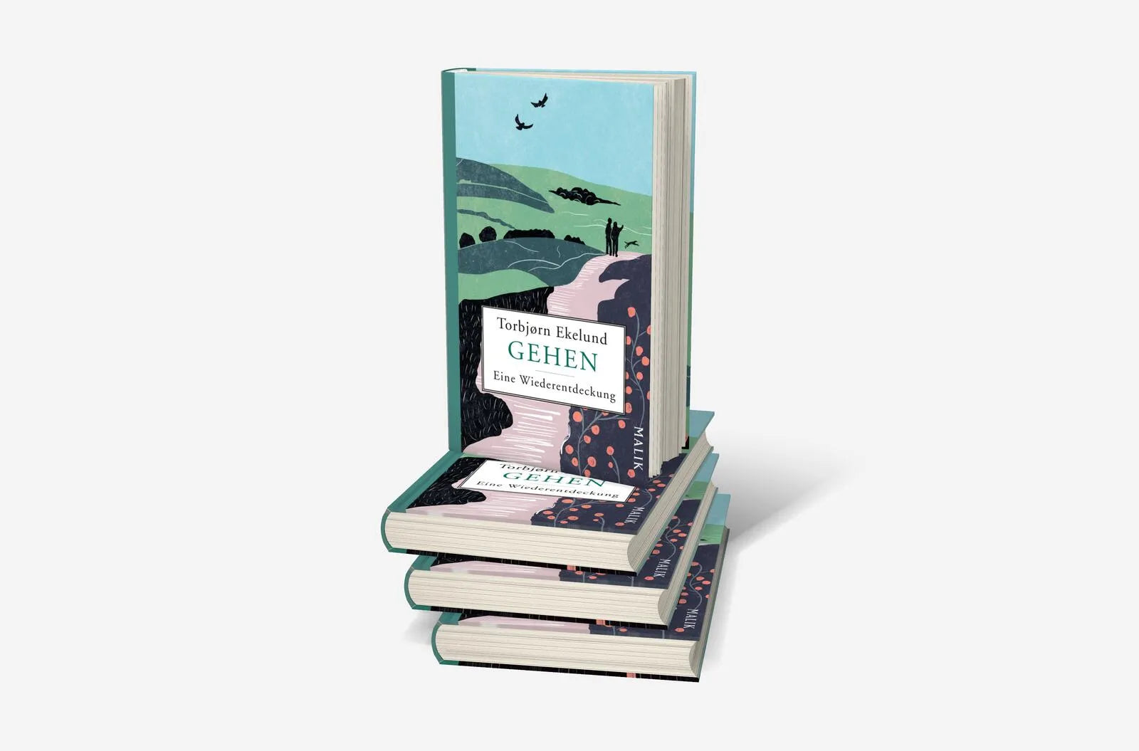Abbildung von 'Gehen'