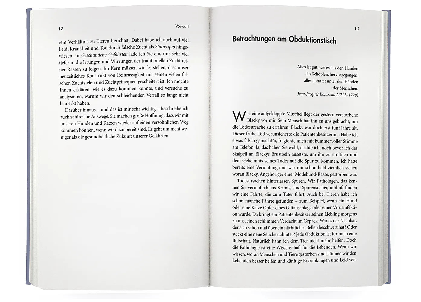 Abbildung von 'Geschundene Gefährten'