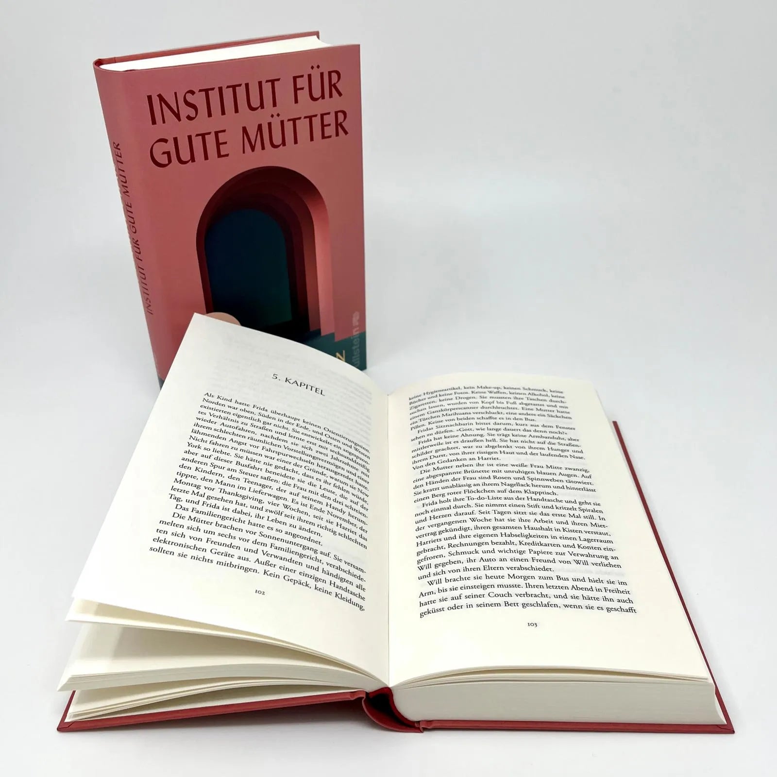 Abbildung von 'Institut für gute Mütter'
