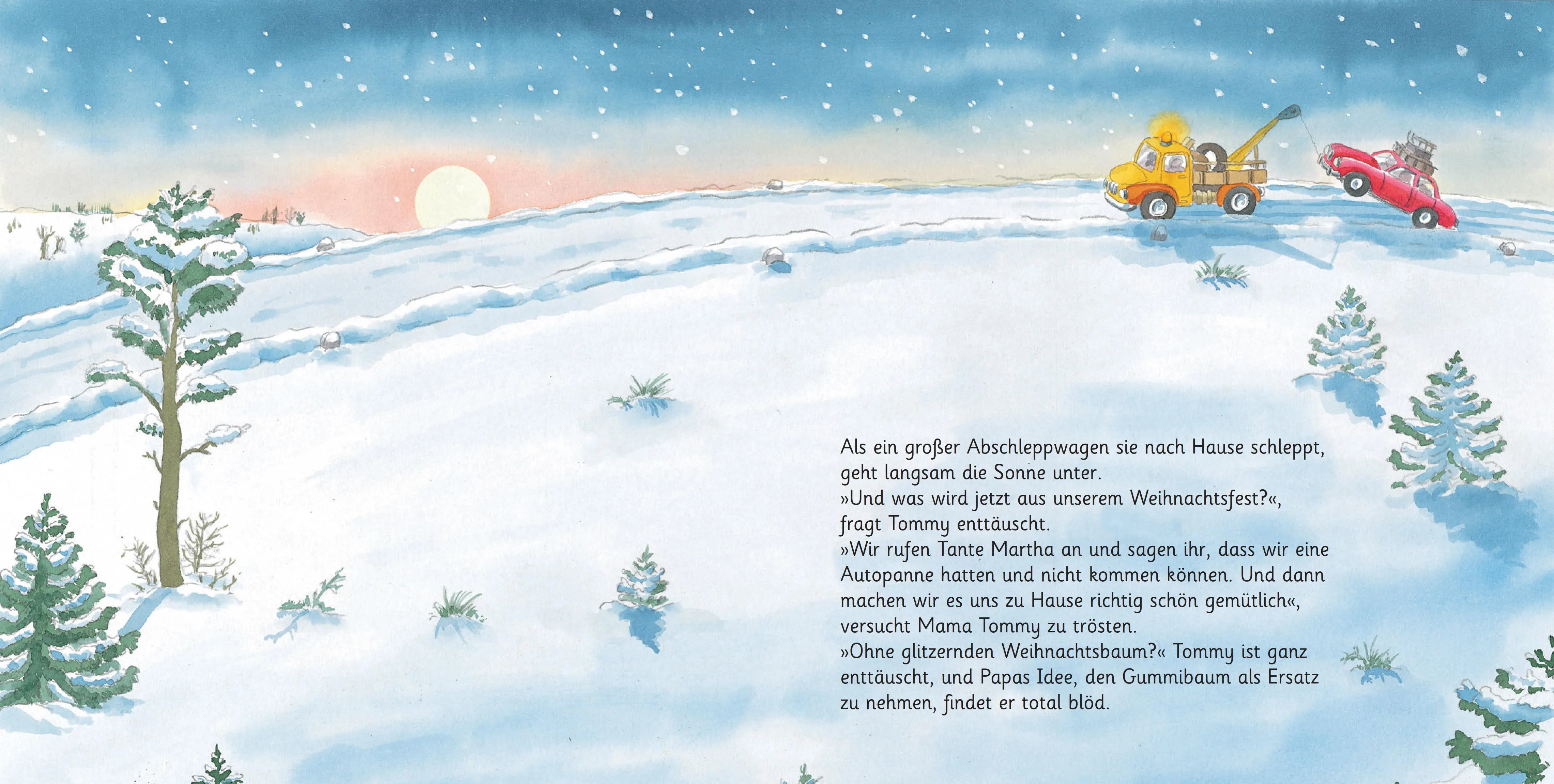 Abbildung von 'Lauras Weihnachtsstern'