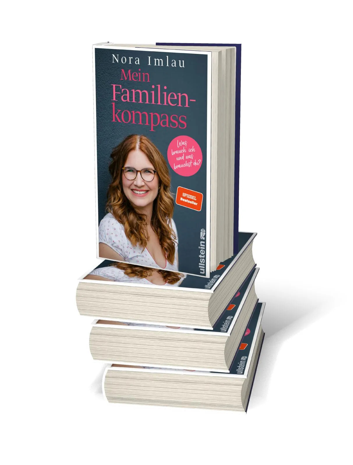 Abbildung von 'Mein Familienkompass'
