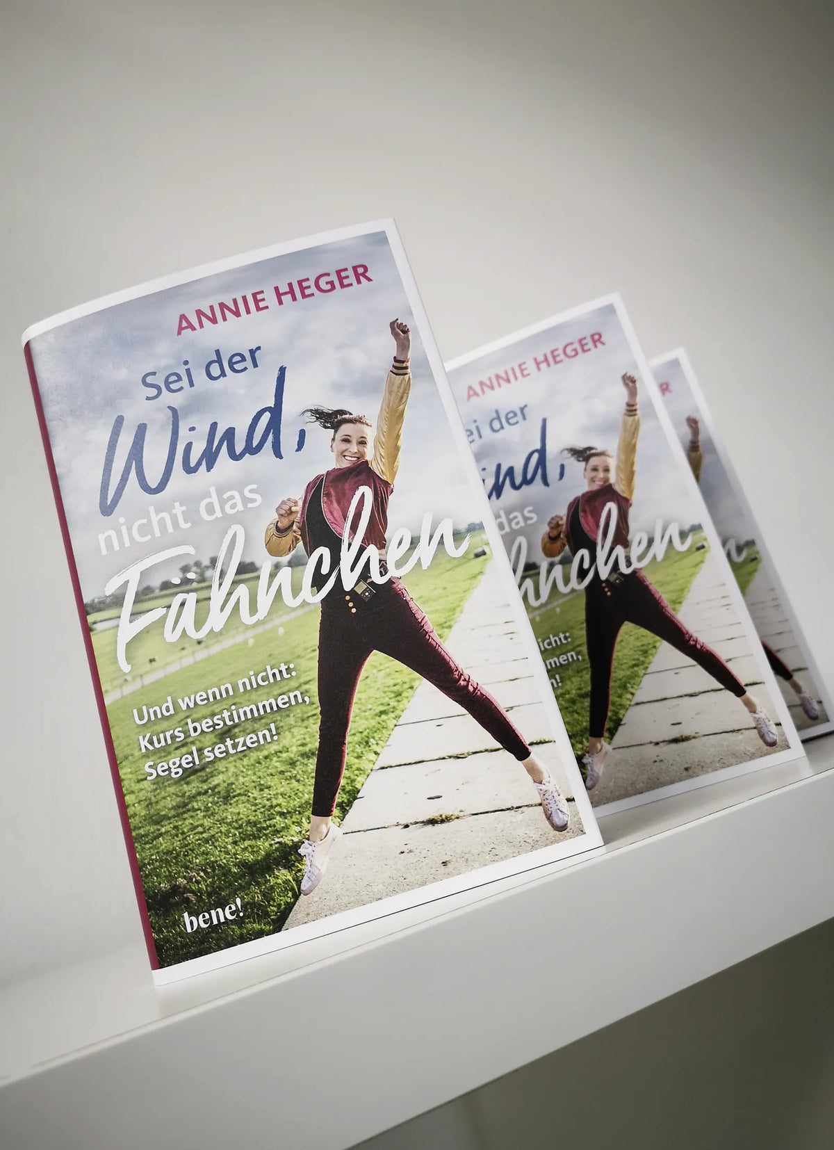 Abbildung von 'Sei der Wind, nicht das Fähnchen'
