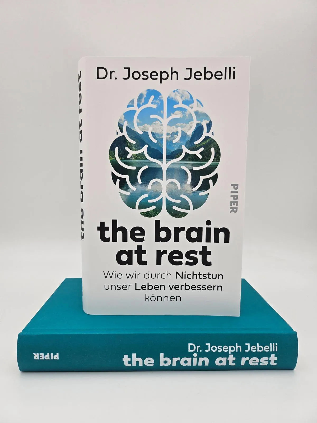 Abbildung von 'the brain at rest'