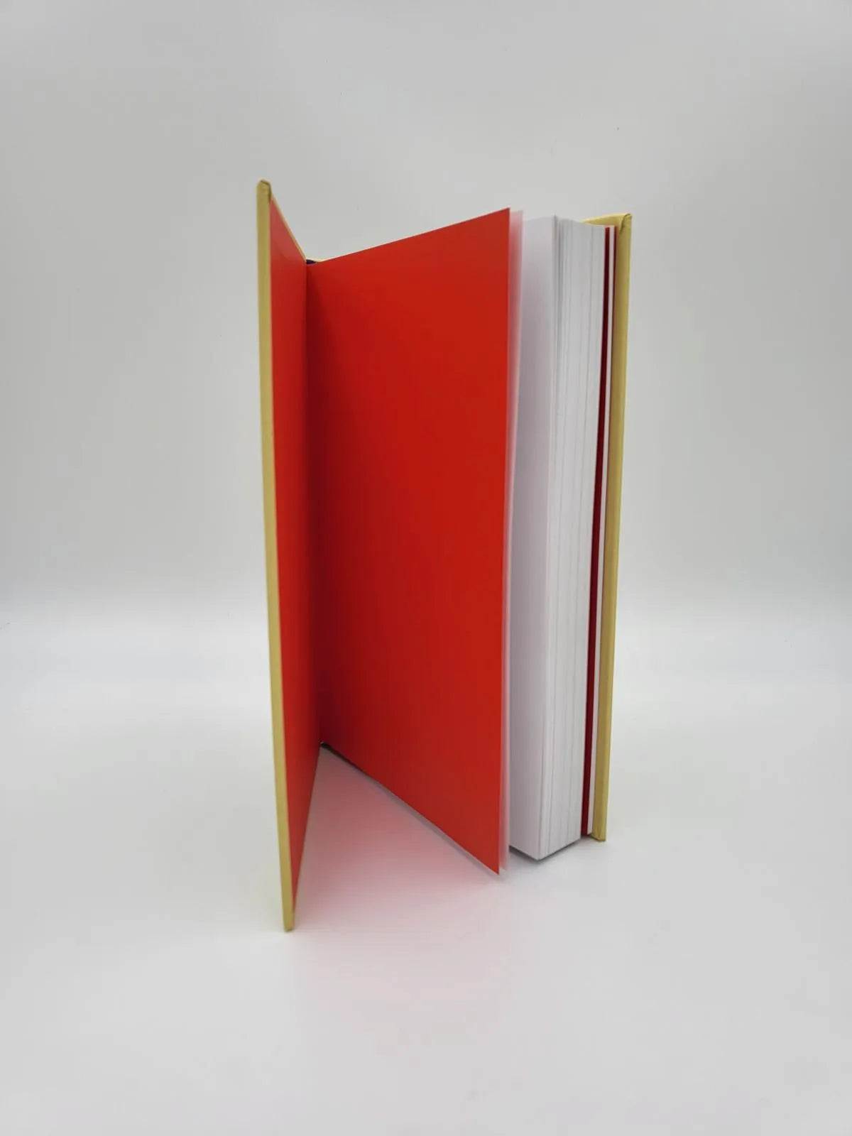 Abbildung von 'The Story of Art without Men'