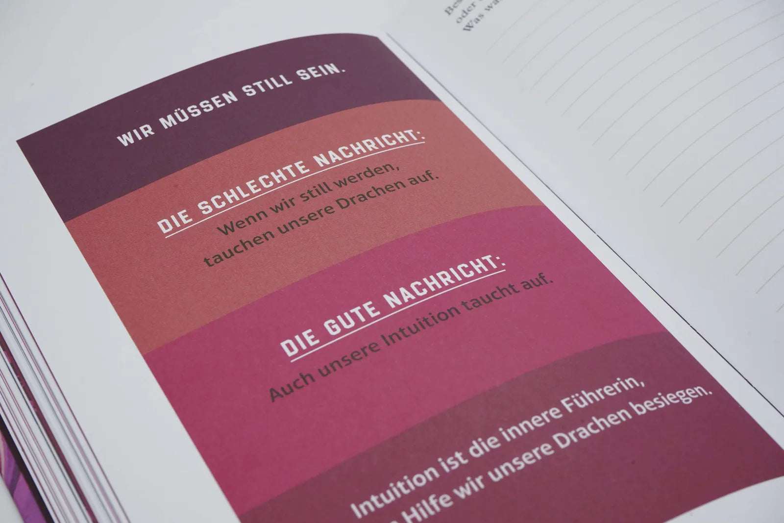 Abbildung von 'Ungezähmt – das Journal'