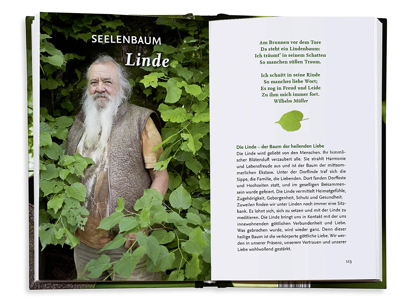 Abbildung von 'Unsere fünf heiligen Bäume'