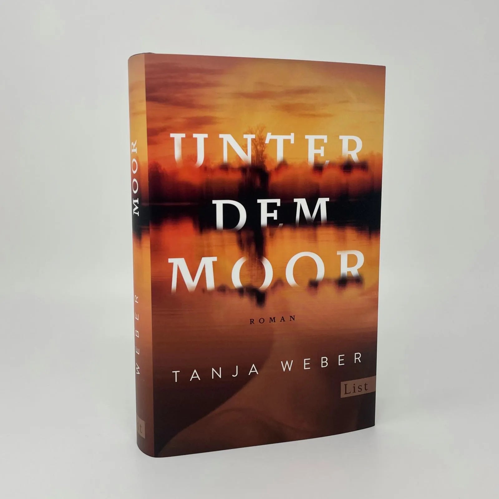 Abbildung von 'Unter dem Moor'