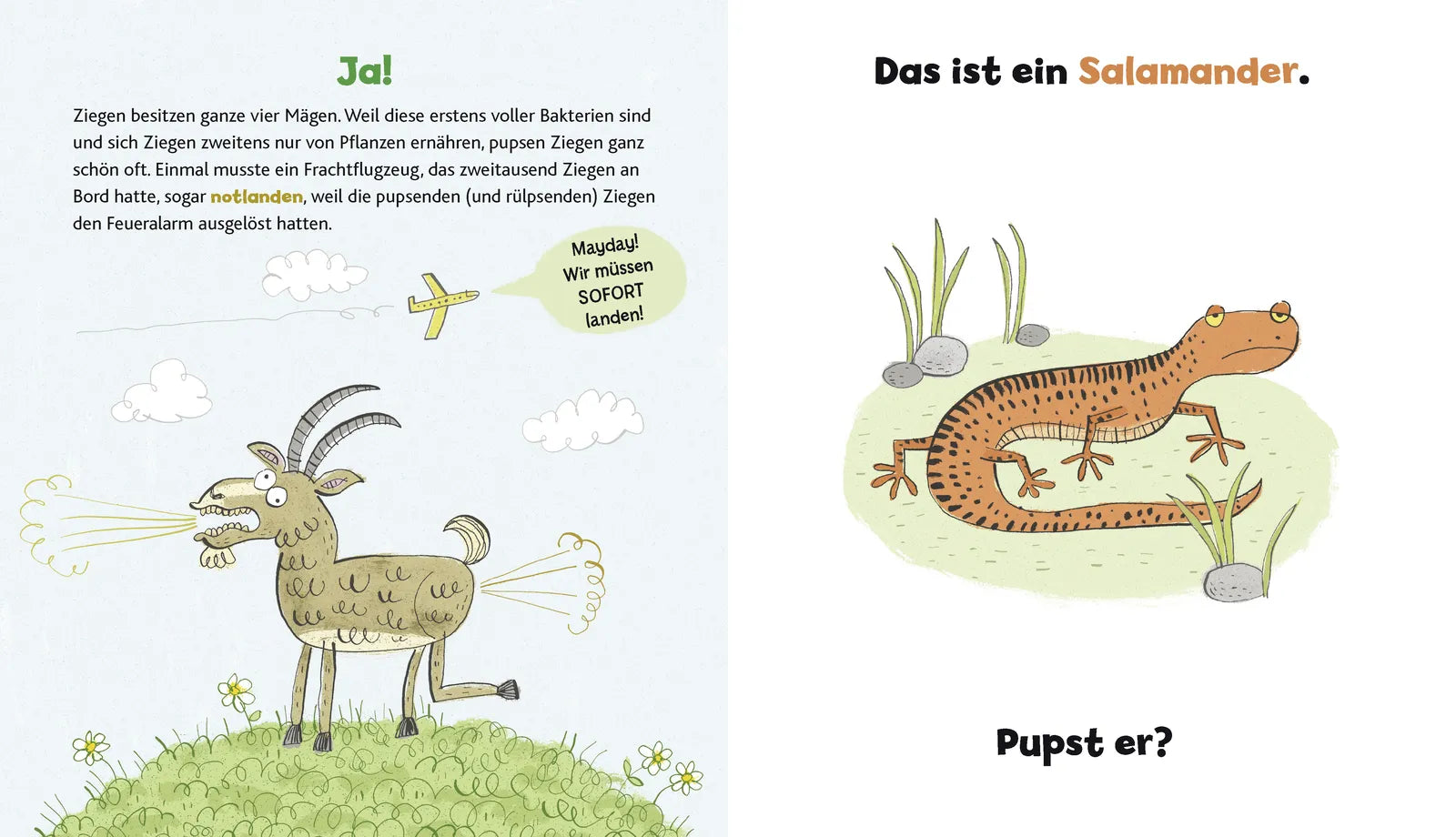 Abbildung von 'Wer hat hier gepupst?'