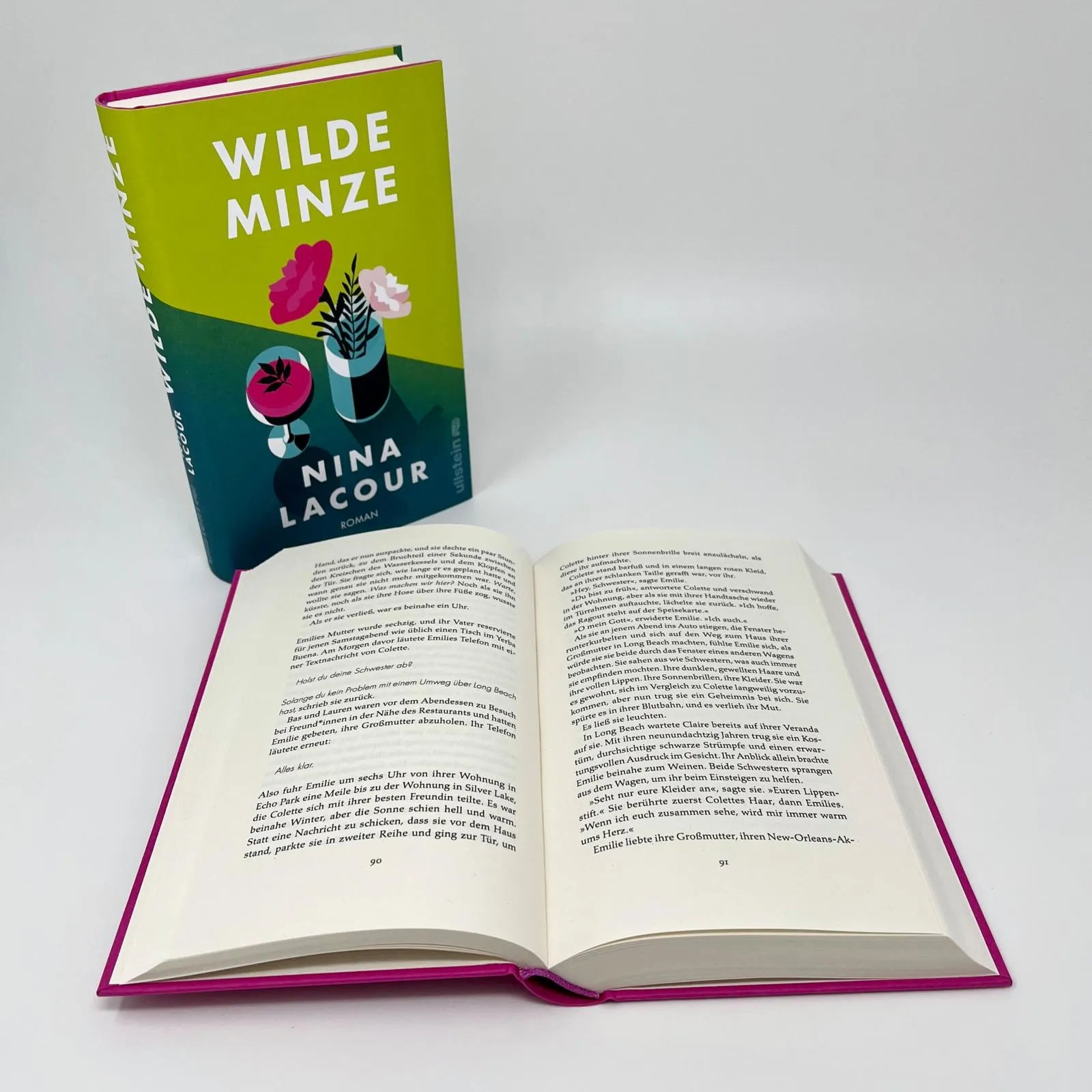 Abbildung von 'Wilde Minze'
