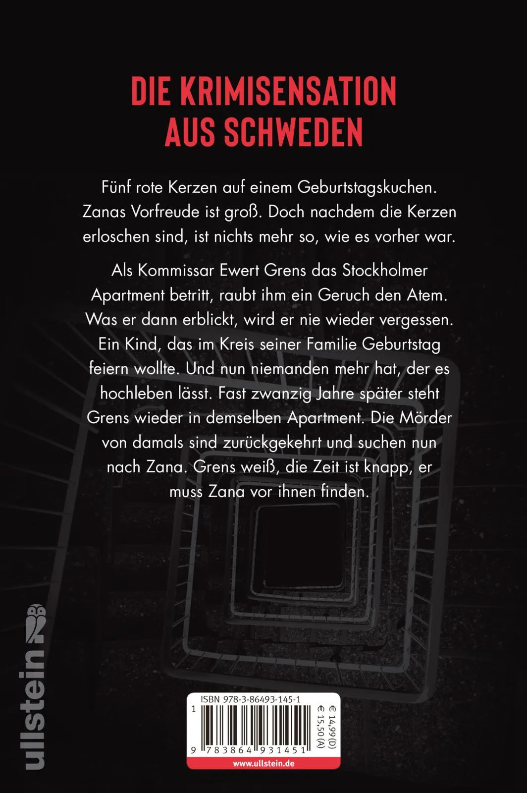 Buchrückseite von 'Geburtstagskind' mit Klappentext - Paperback