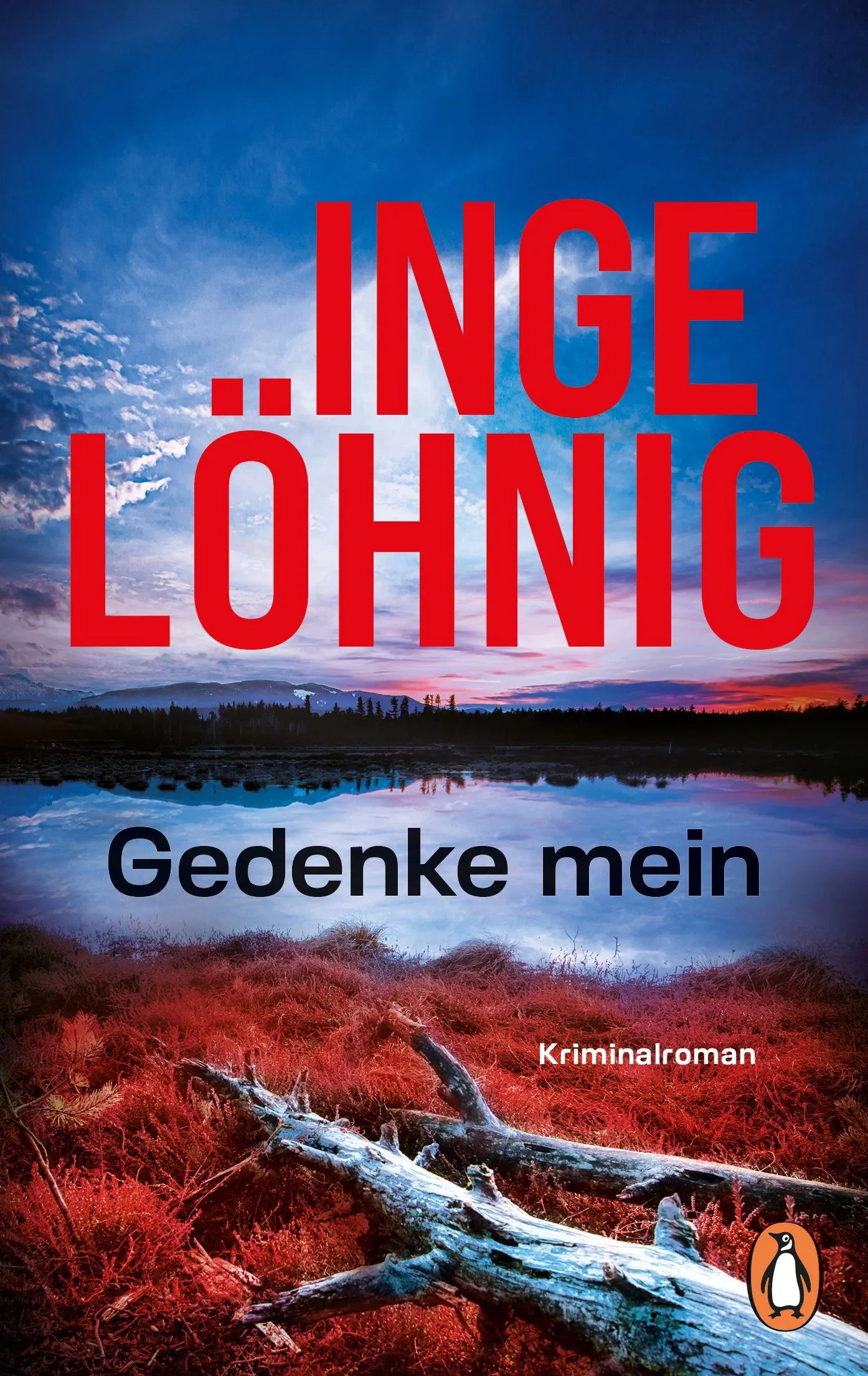 Cover: Gedenke mein (Taschenbuch) von Inge Löhnig
