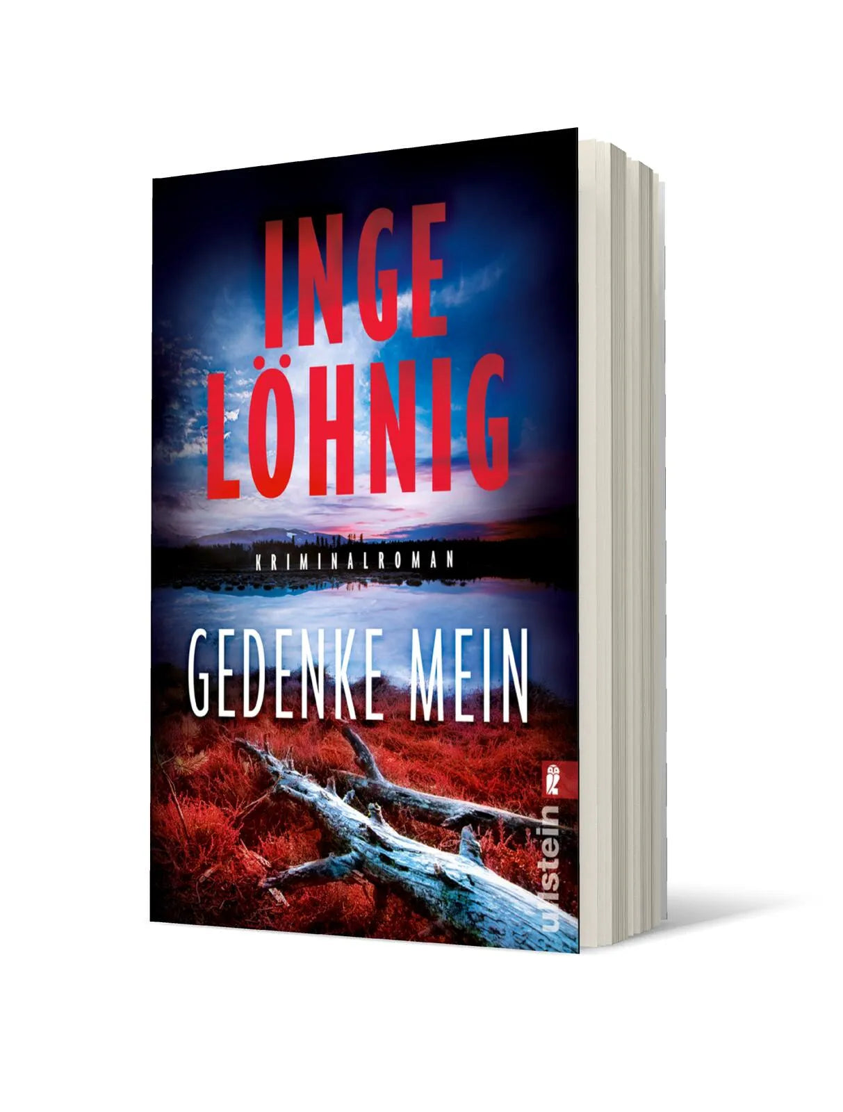 Produktansicht: Gedenke mein (Taschenbuch)
