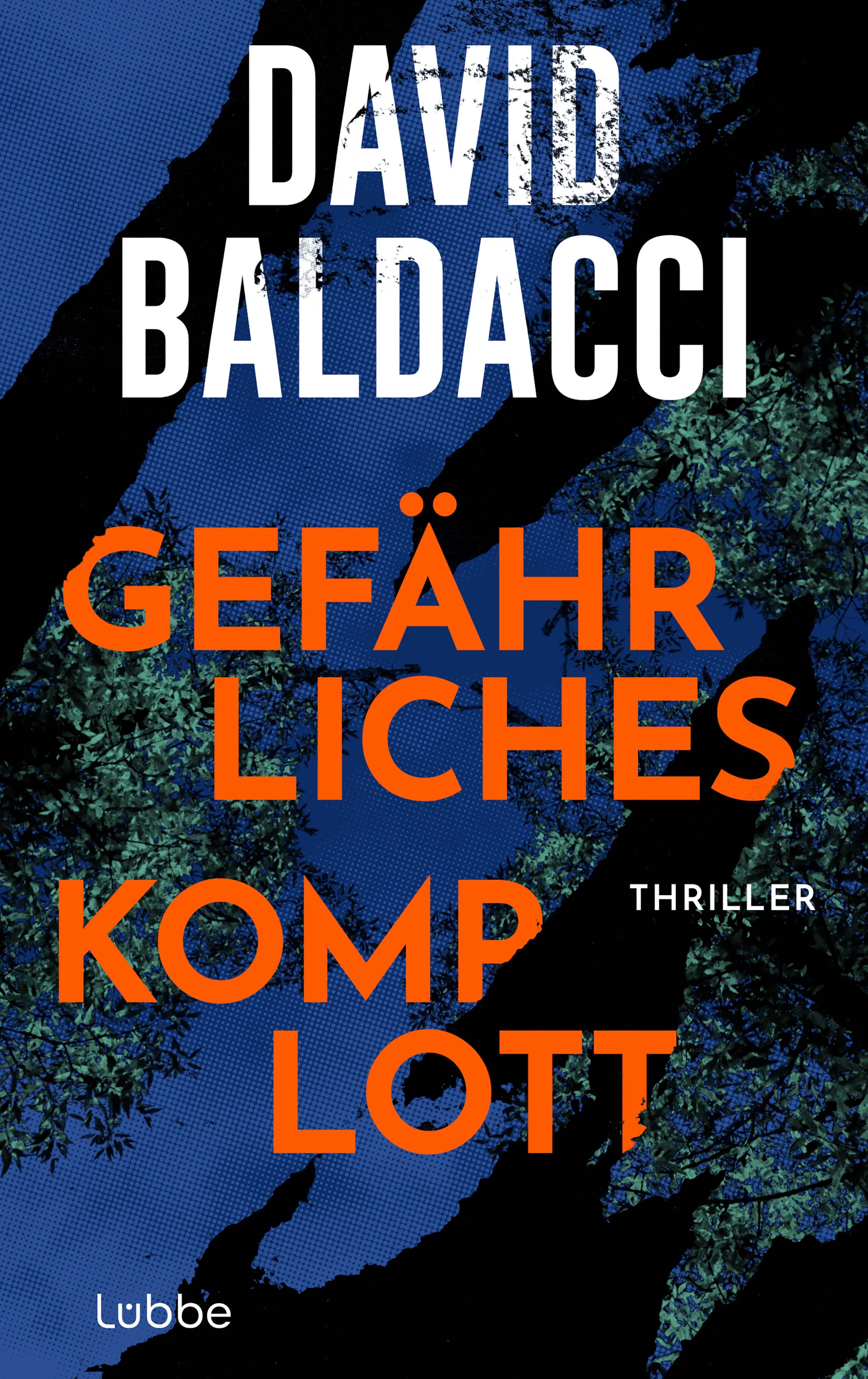 Cover: Gefährliches Komplott (E-Book) von David Baldacci