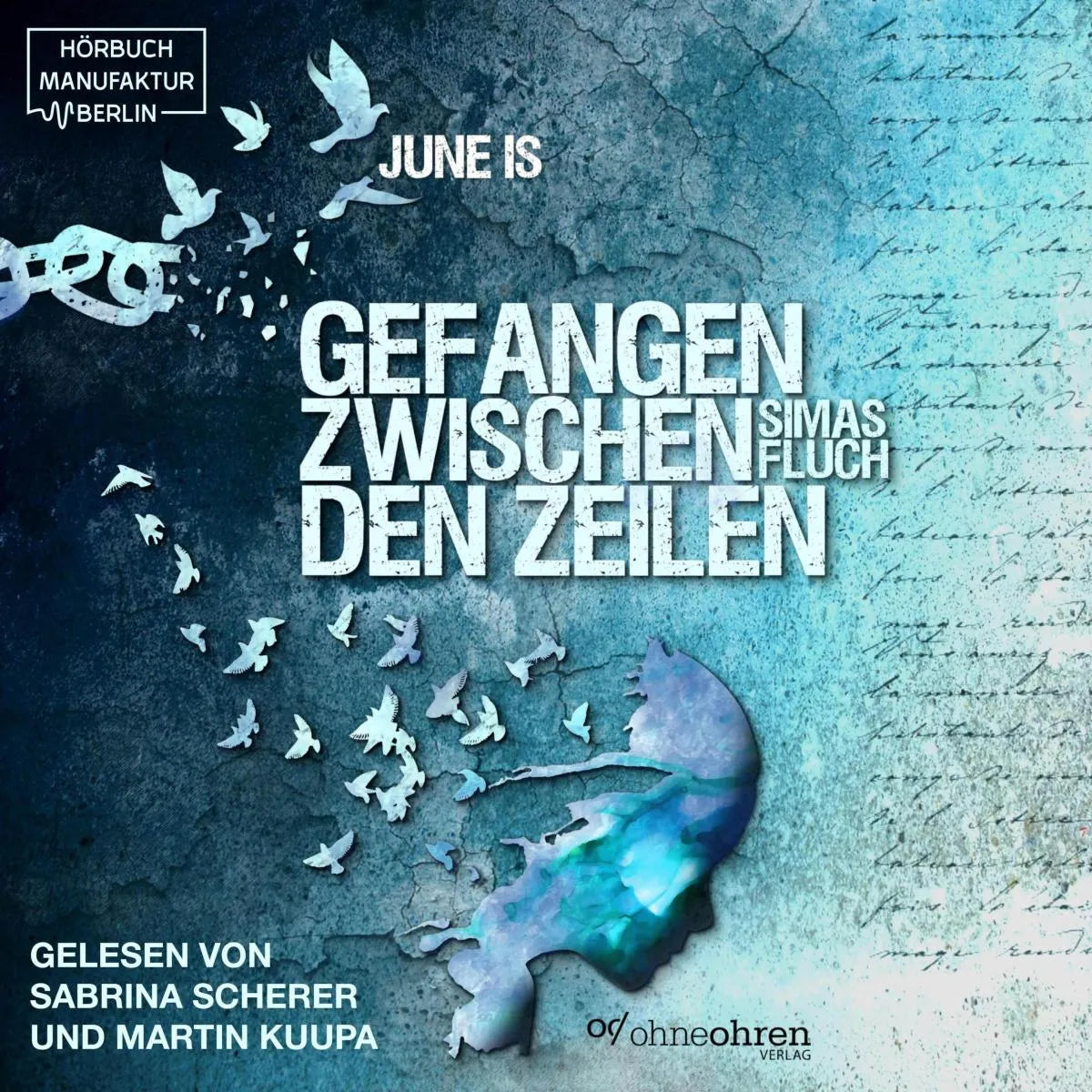 Cover: Gefangen zwischen den Zeilen (Hörbuch Download) von June Is