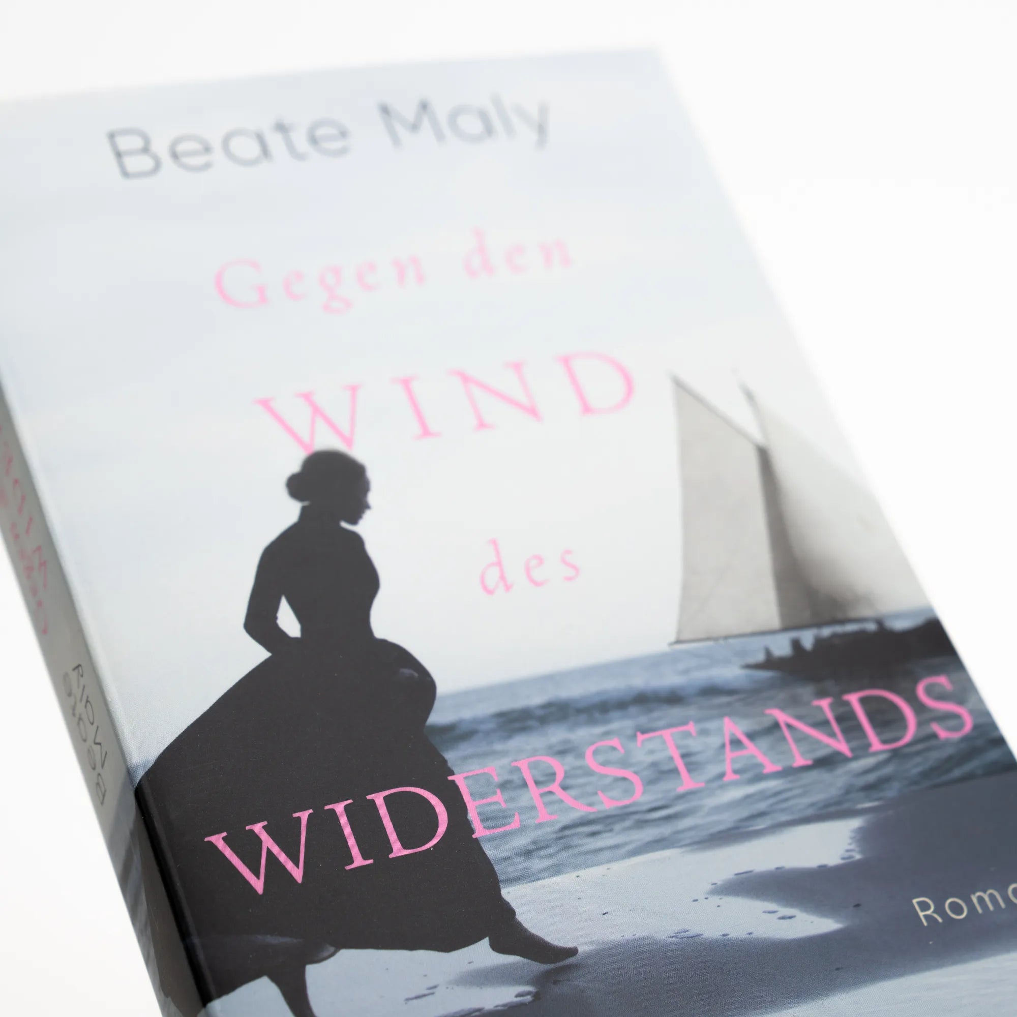 Abbildung von 'Gegen den Wind des Widerstands'