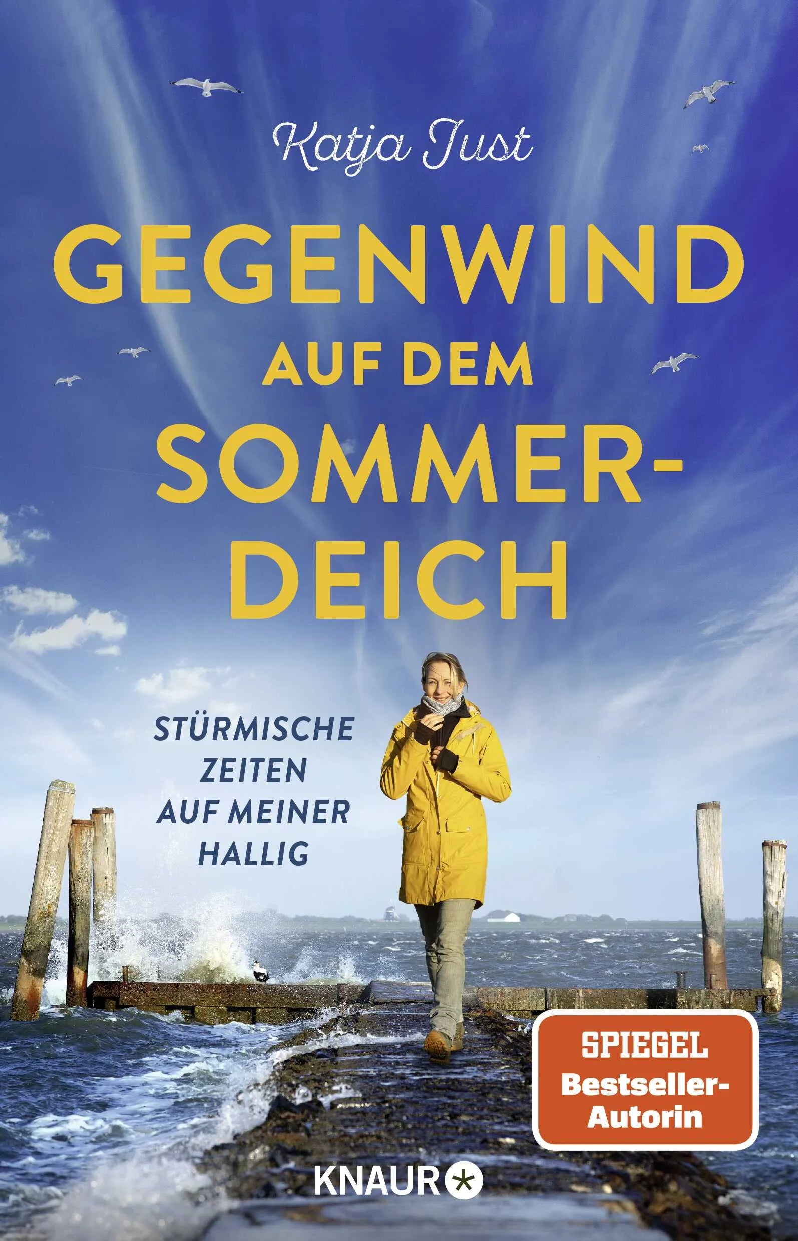 Cover: Gegenwind auf dem Sommerdeich (Paperback) von Katja Just