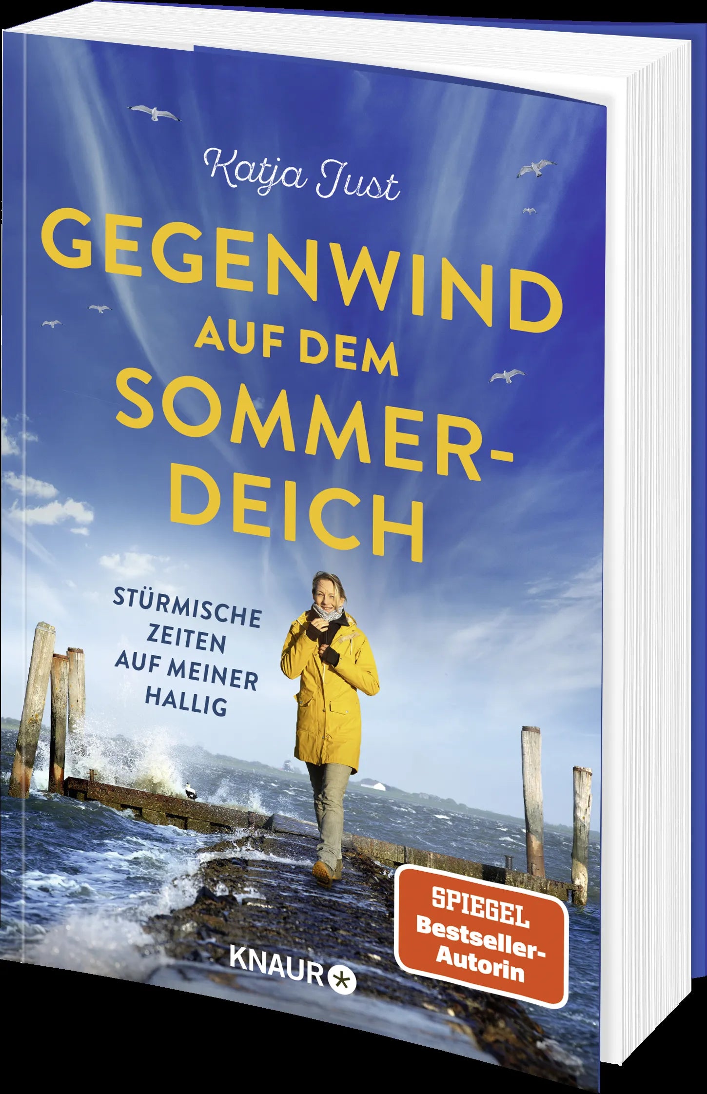 Detailansicht: Gegenwind auf dem Sommerdeich (Paperback)