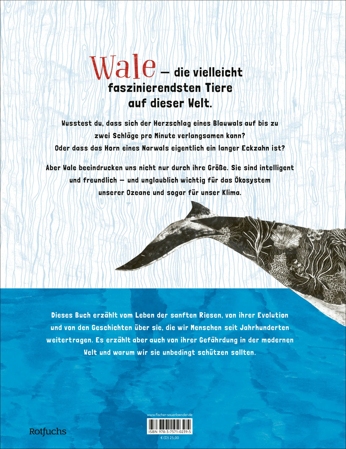 Rückseite: Geheimnisvolle Wale – Entdecke die Welt der Meeresgiganten (Hardcover)