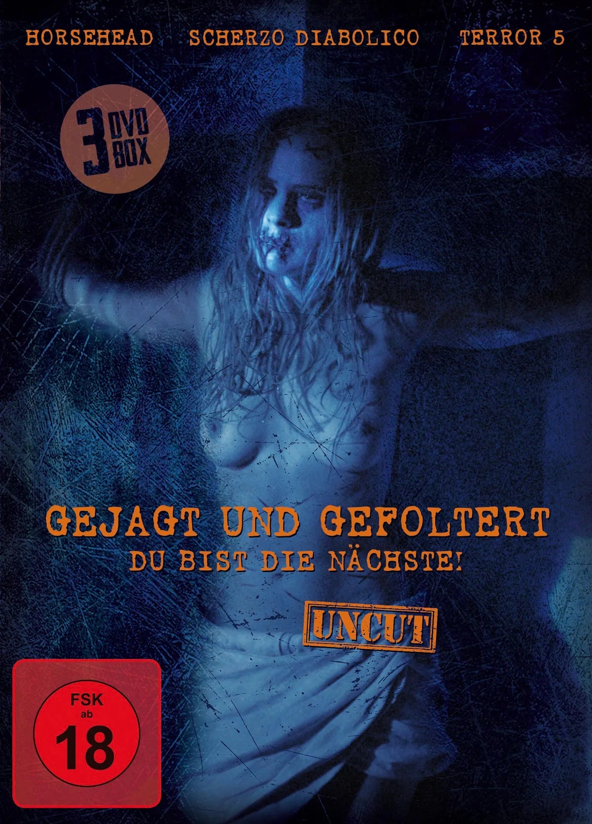 Gejagt und gefoltert - Du bist die Nächste! [3 D - DVD