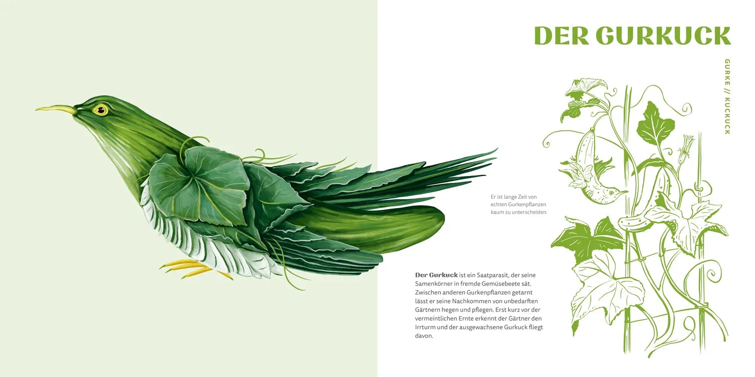 Detailansicht: Gemüsevögel (Hardcover)