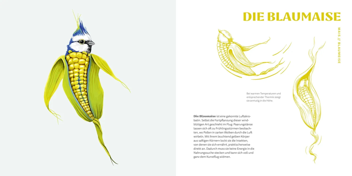 Detailansicht: Gemüsevögel (Hardcover)