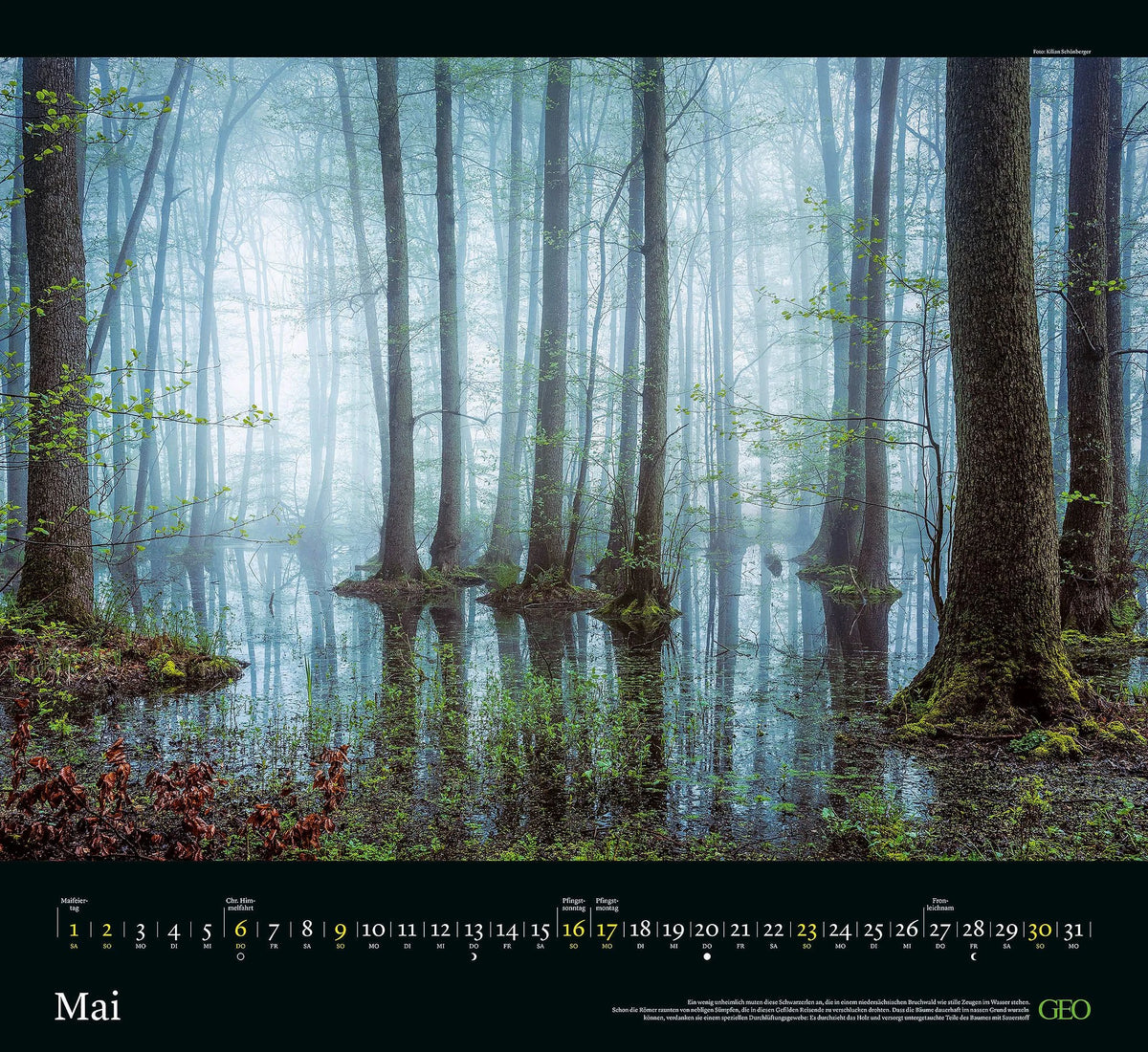GEO Kalender: Sehnsucht Wald 2027 – Ansicht