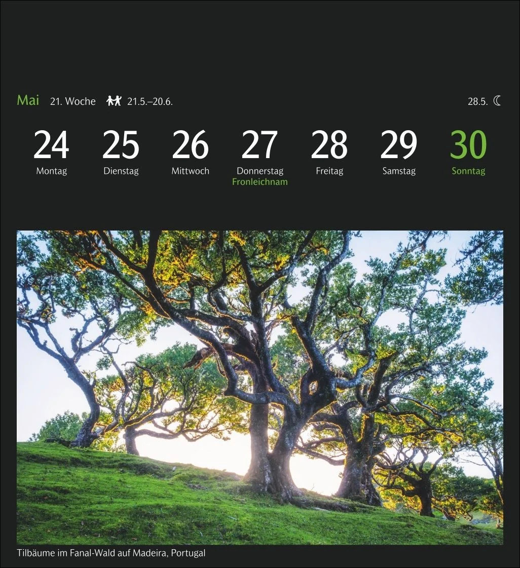 GEO Magische Natur Postkartenkalender 2027 - Wochenkalender mit 53 Postkarten – Ansicht