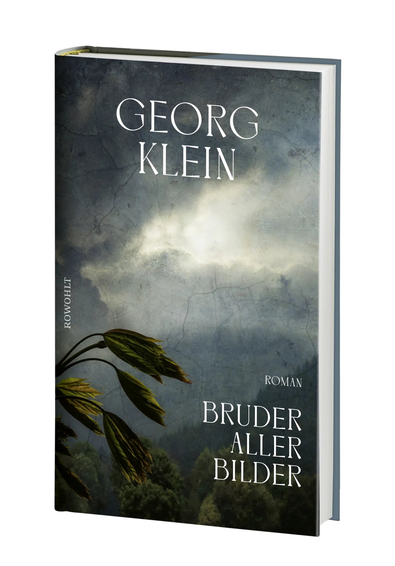 Produktansicht: Bruder aller Bilder (Gebundene Ausgabe)