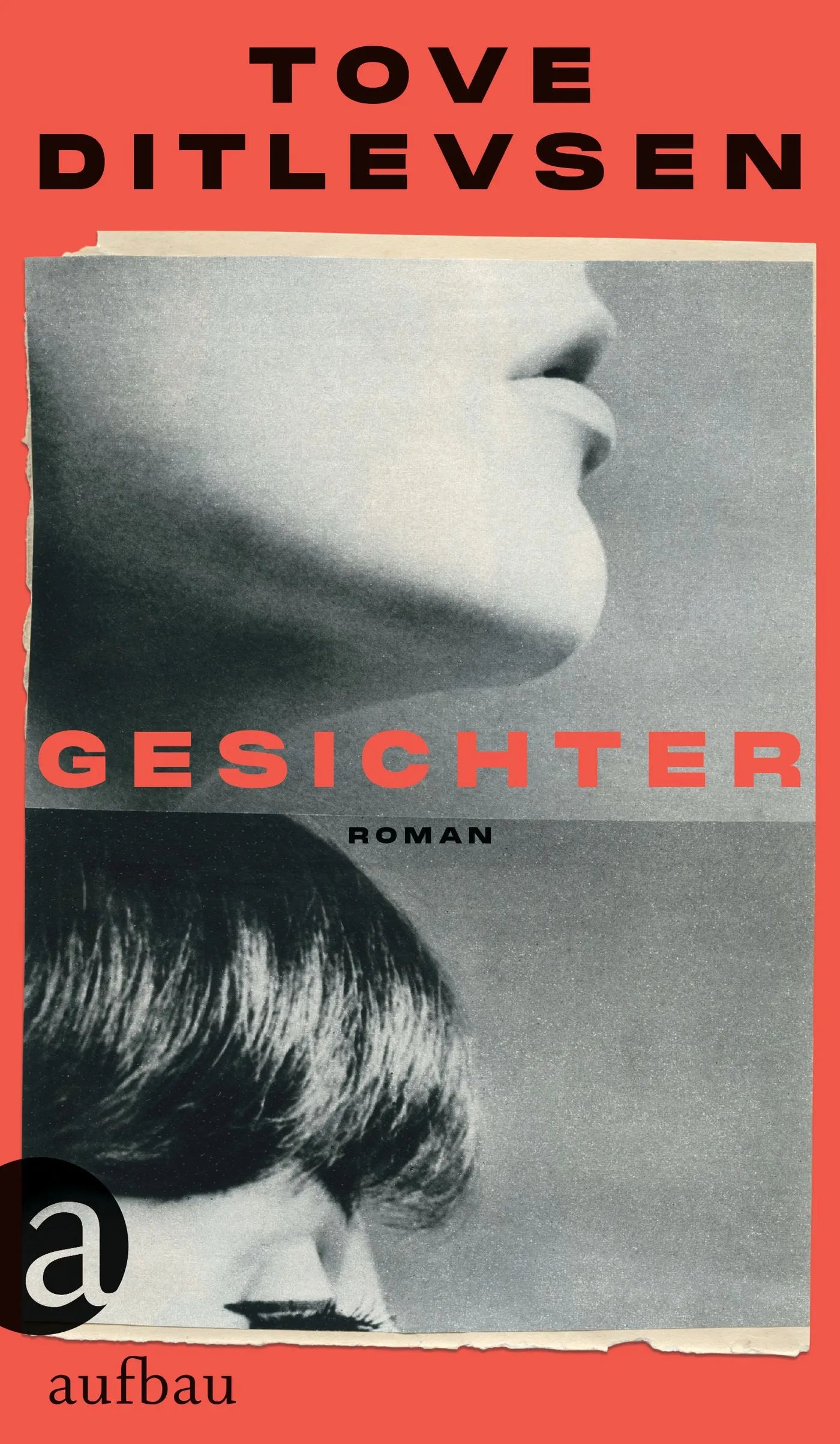 Buchcover von 'Gesichter' - Gebundene Ausgabe von Tove Ditlevsen