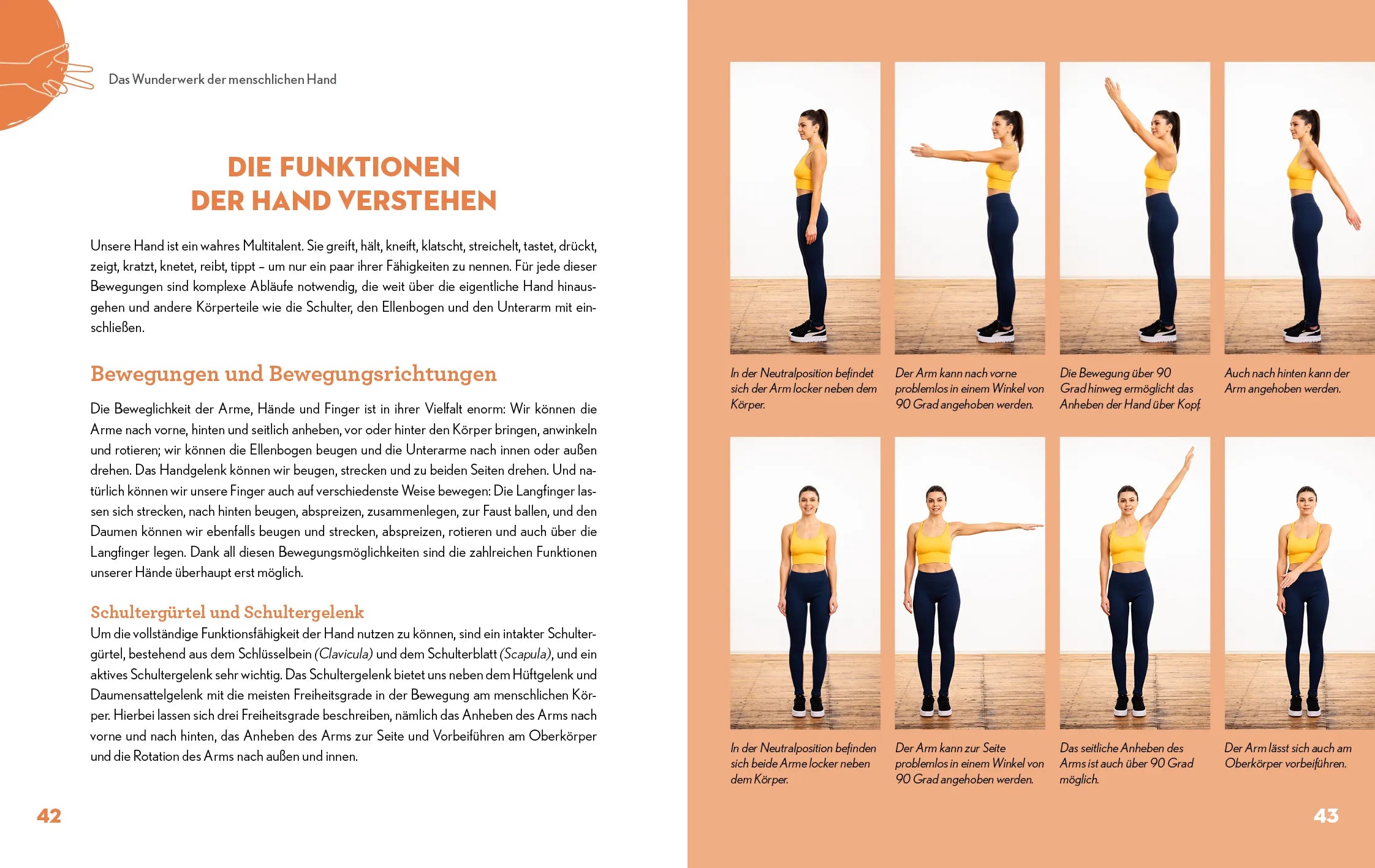 Innenansicht von 'Gesunde Hände im Handumdrehen' - Gebundene Ausgabe