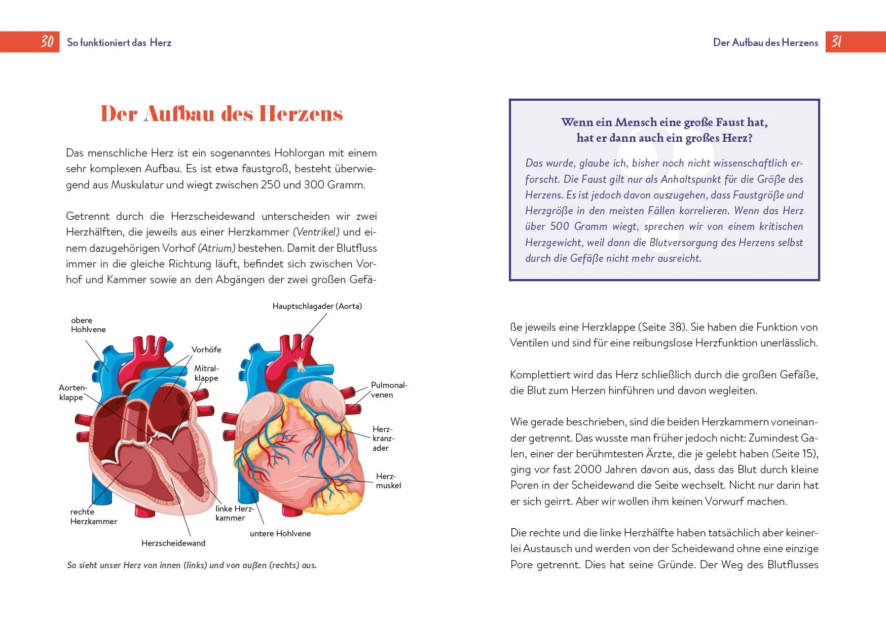 Innenansicht von 'Gesundheit ist Herzenssache' - Taschenbuch
