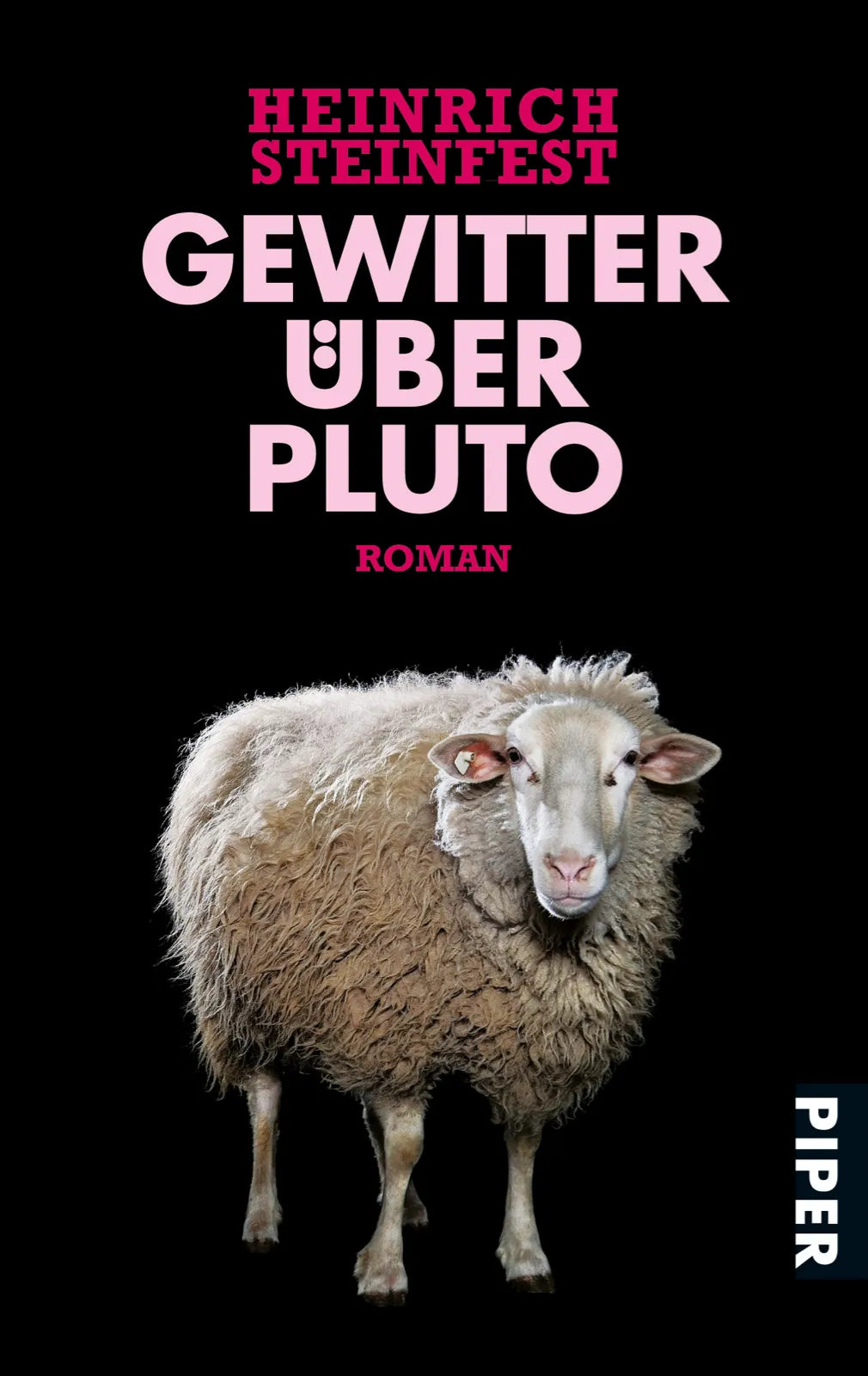 Buchcover von 'Gewitter über Pluto' - Taschenbuch von Heinrich Steinfest