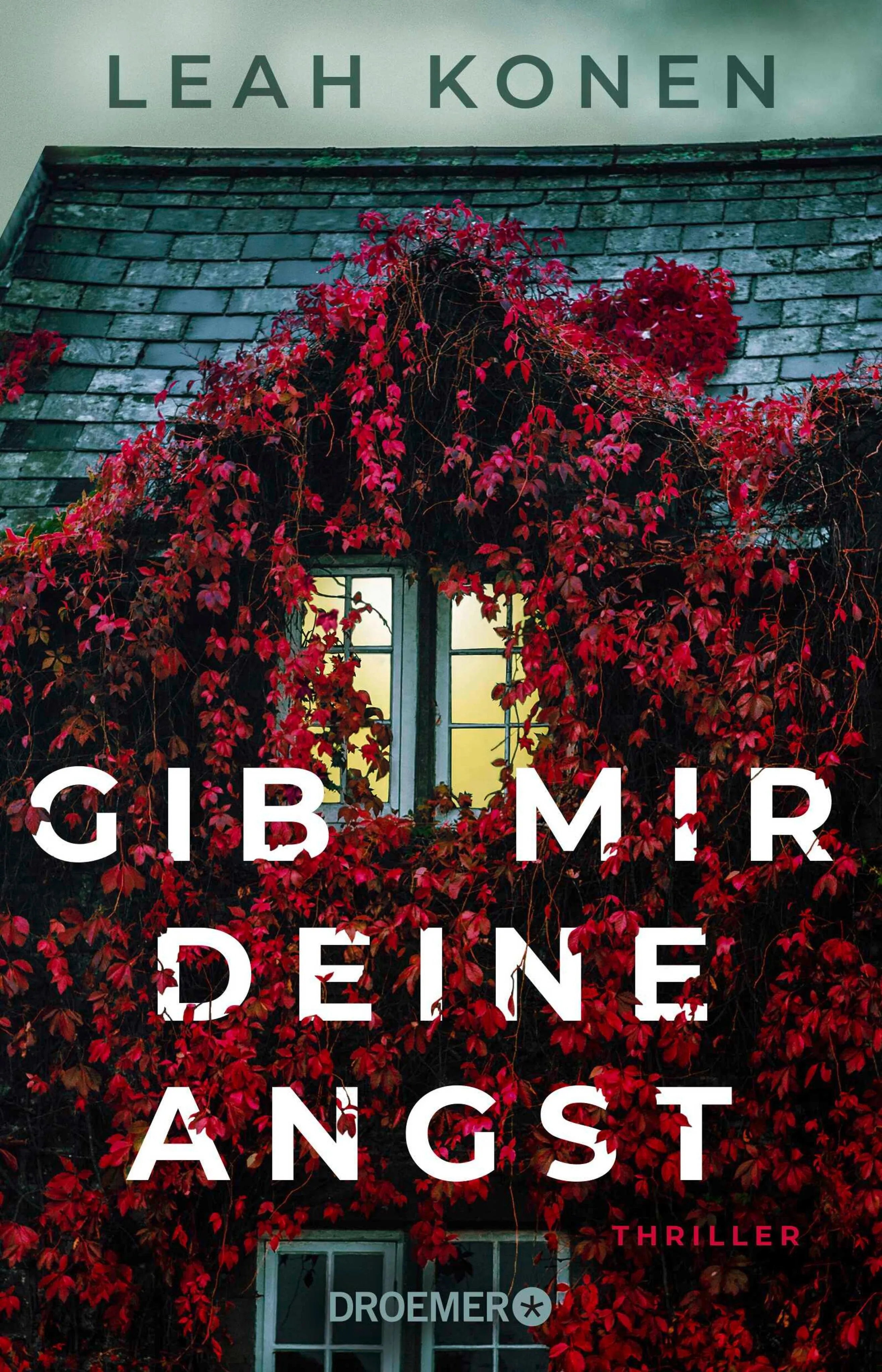Cover: Gib mir deine Angst (E-Book) von Leah Konen
