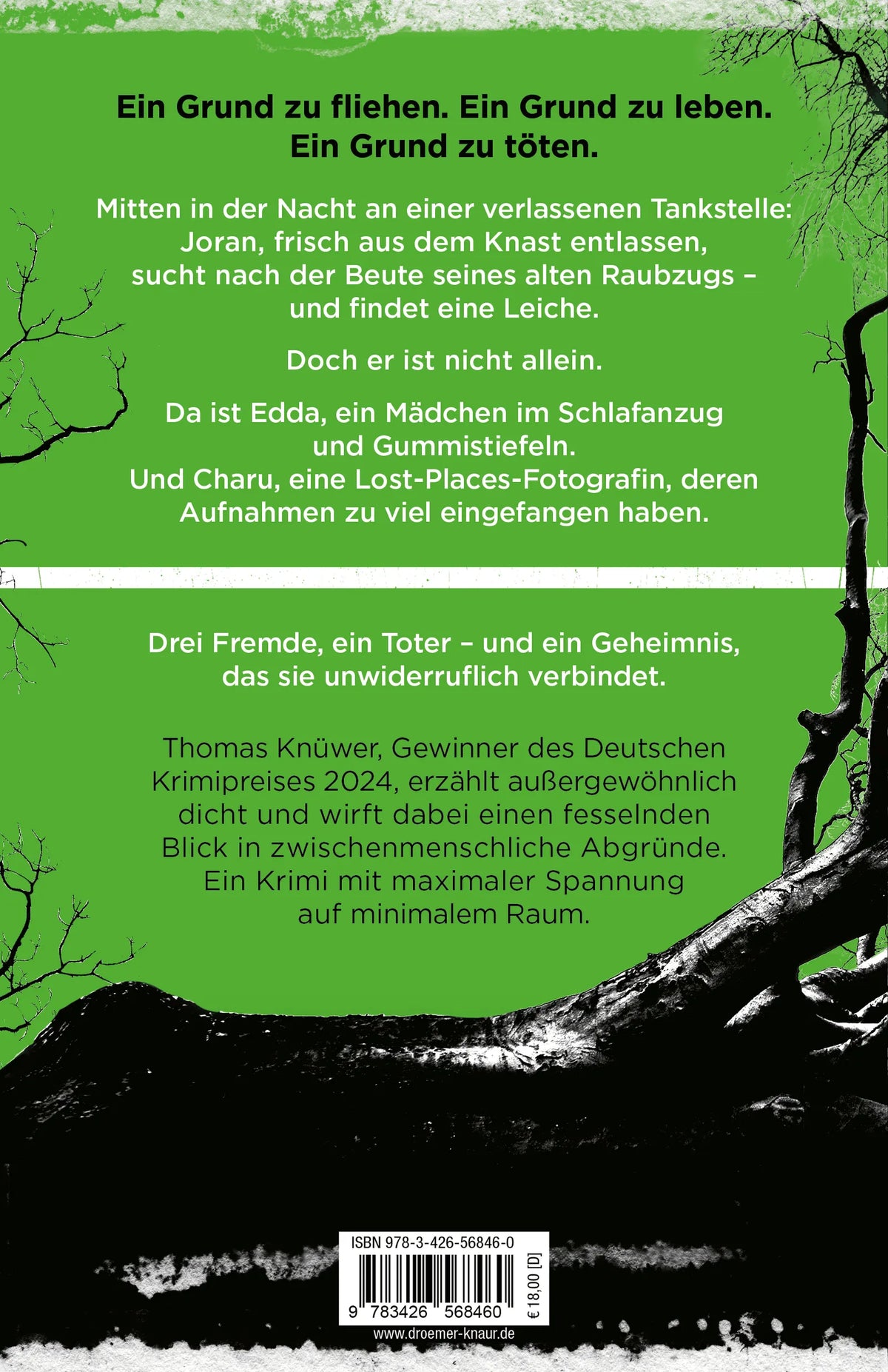 Rückseite: Giftiger Grund (Paperback)