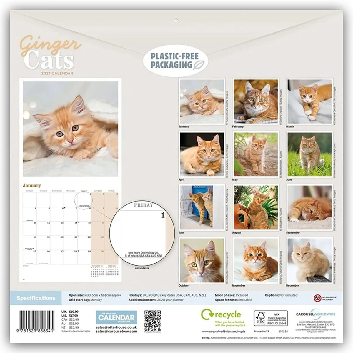 Ginger Cats – Rothaarige Katzen 2027 – Wand-Kalender – Ansicht