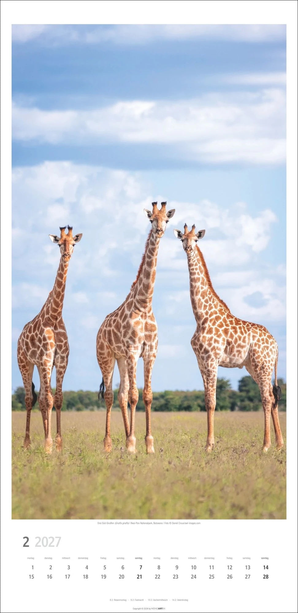 Giraffen Kalender 2027 – Ansicht