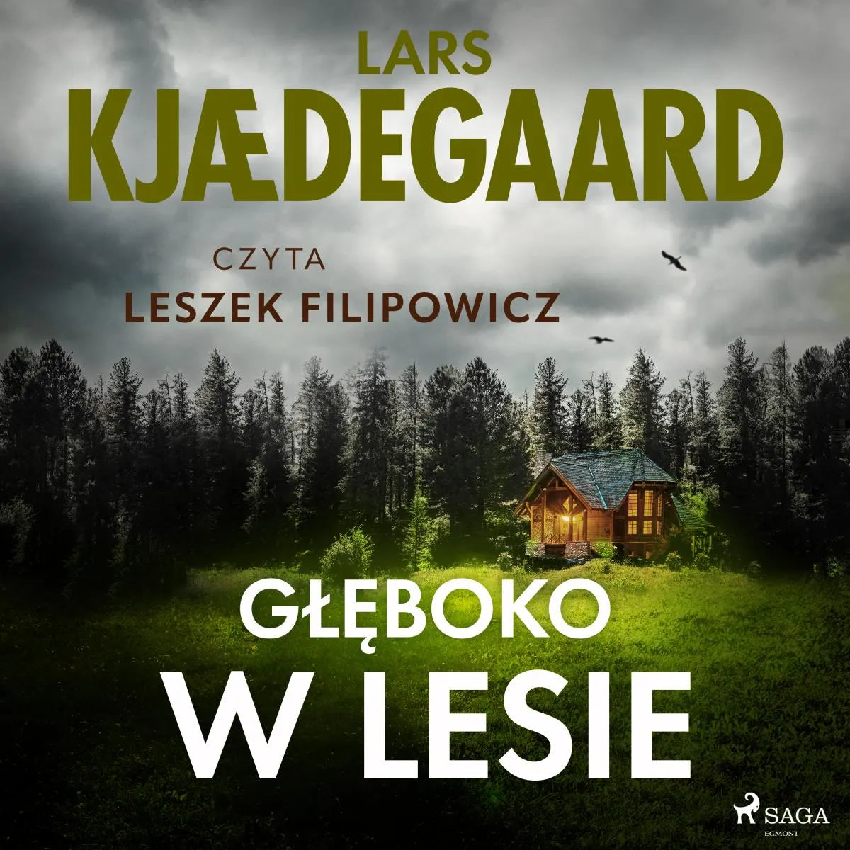 Cover: Głęboko w lesie (Hörbuch Download) von Lars Kjædegaard