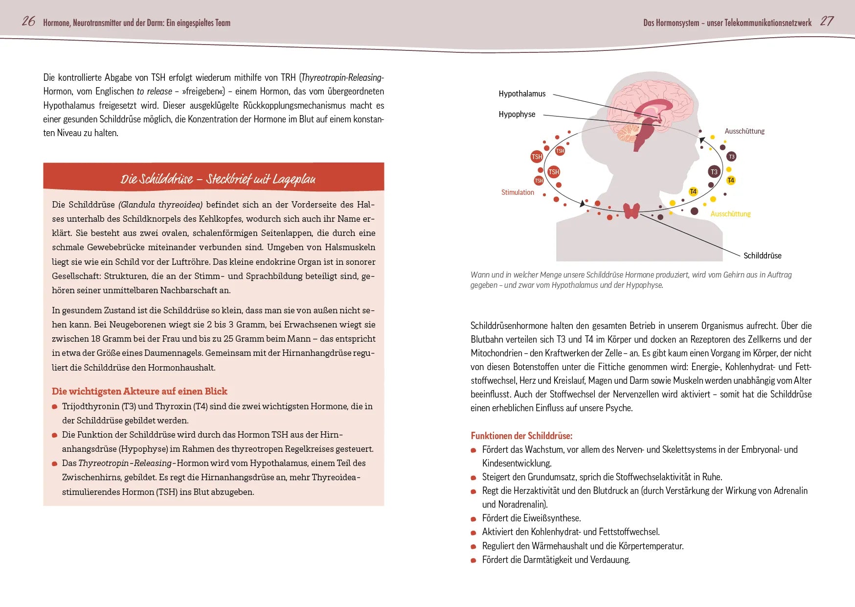 Innenansicht von 'Glück ist Hormonsache' - Taschenbuch