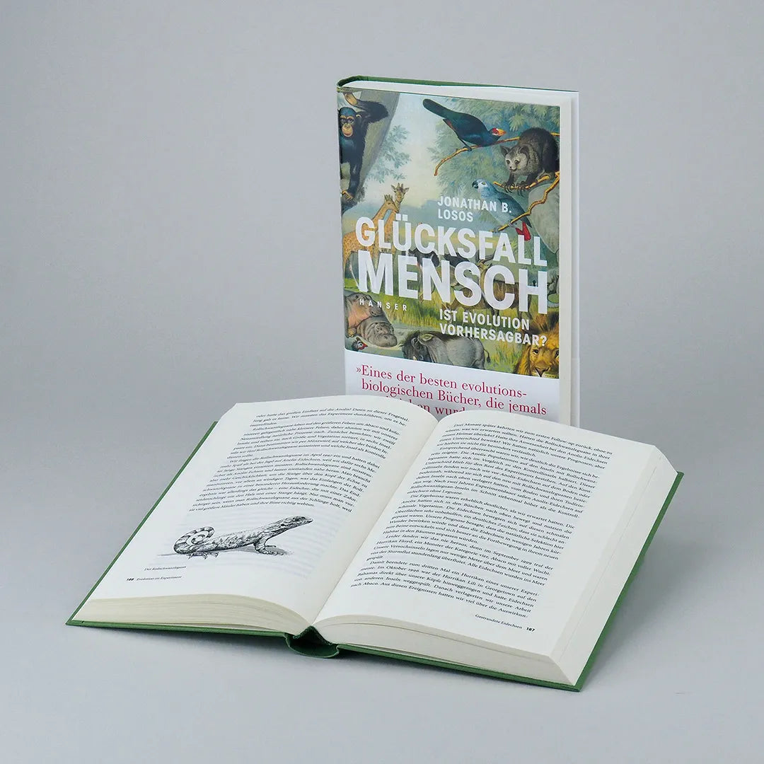 Abbildung von 'Glücksfall Mensch'