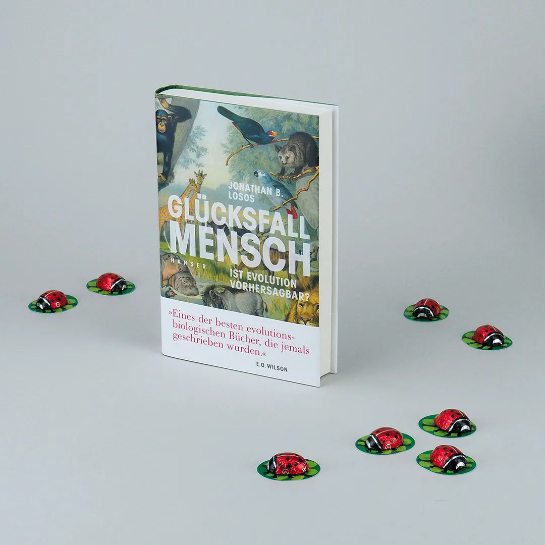 Produktansicht: Glücksfall Mensch (Gebundene Ausgabe)