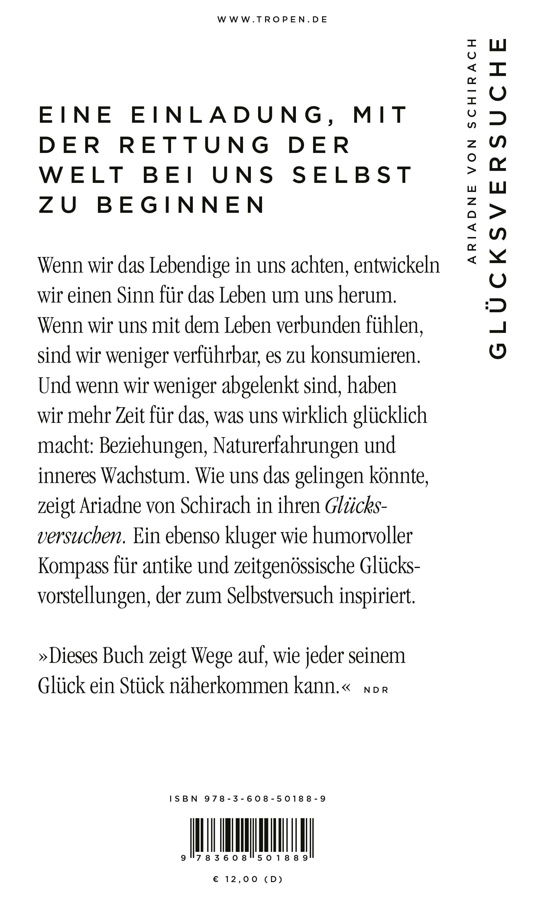 Buchrückseite von 'Glücksversuche' mit Klappentext - Taschenbuch