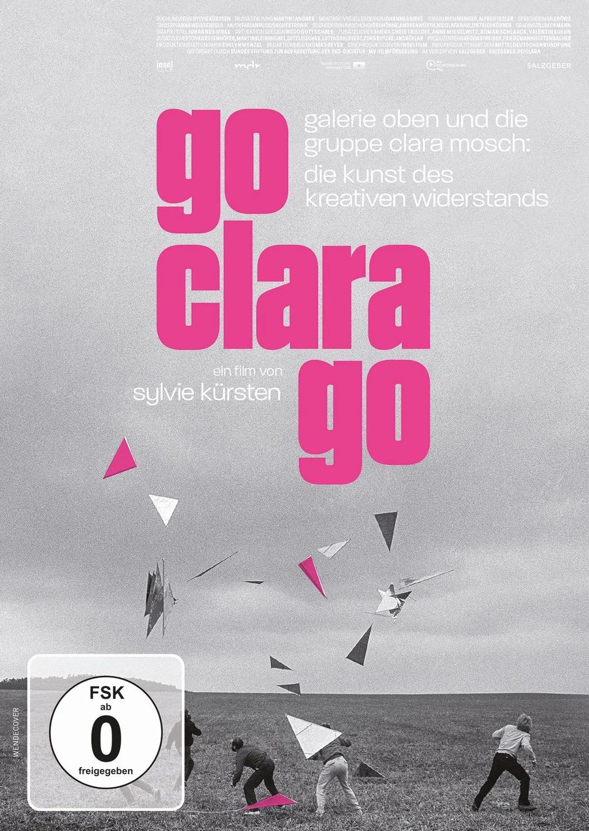Go Clara Go: die Kunst des kreativen Widerstands - DVD