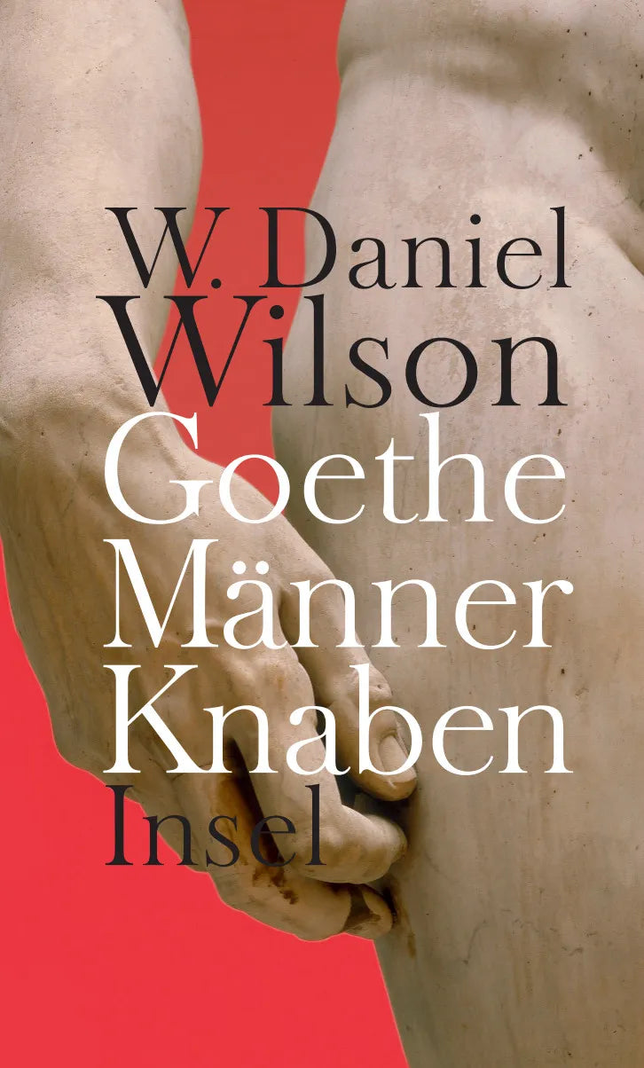 Buchcover von 'Goethe Männer Knaben' - Gebundene Ausgabe von W. Daniel Wilson