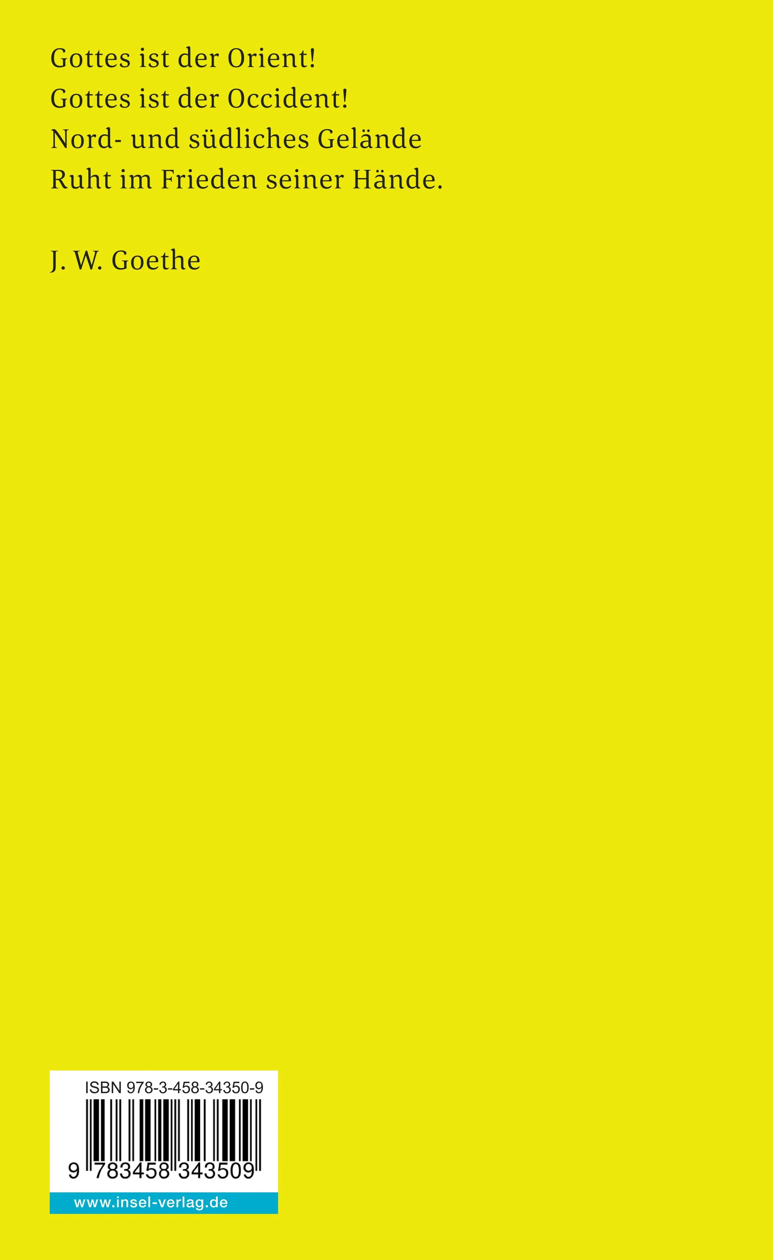 Buchrückseite von 'Goethe und der Islam' mit Klappentext - Taschenbuch