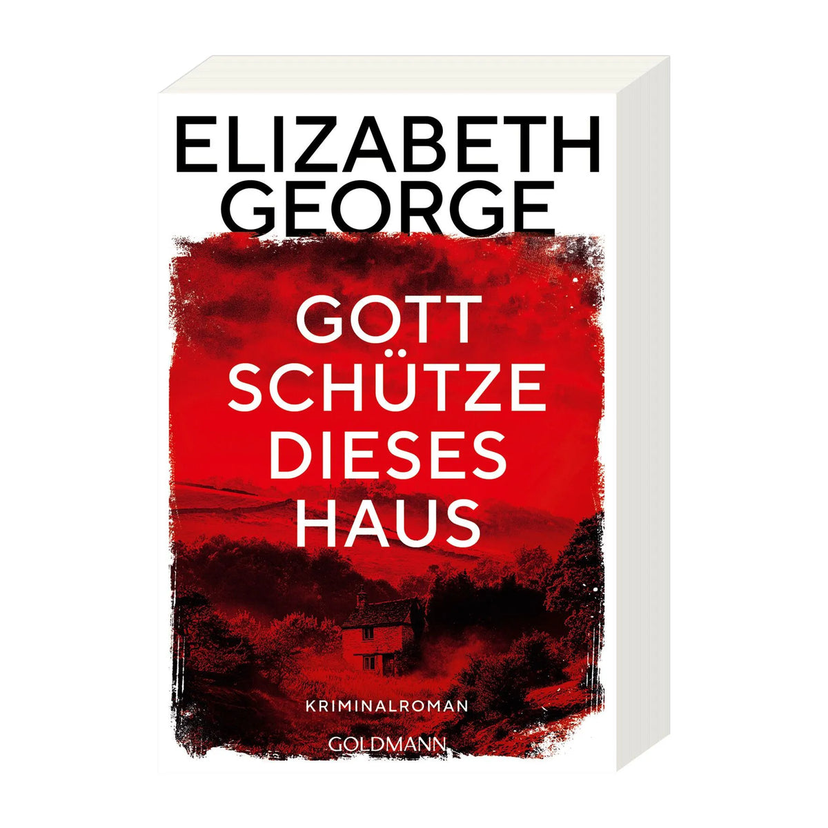 Detailansicht: Gott schütze dieses Haus (Taschenbuch)